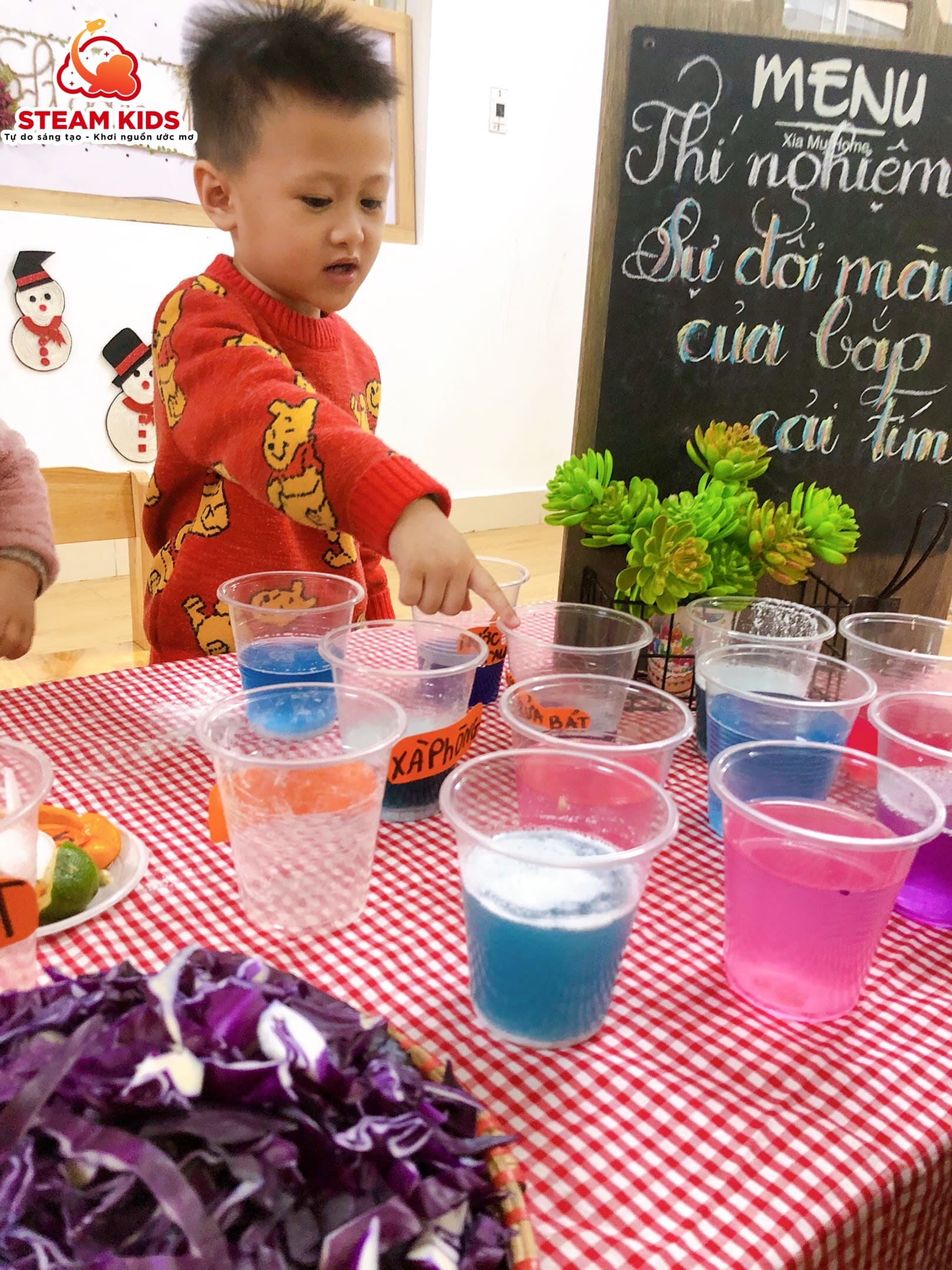 THÍ NGHIỆM: SỰ ĐỔI MÀU CỦA BẮP CẢI TÍM - Trường Mầm Non STEAM KIDS