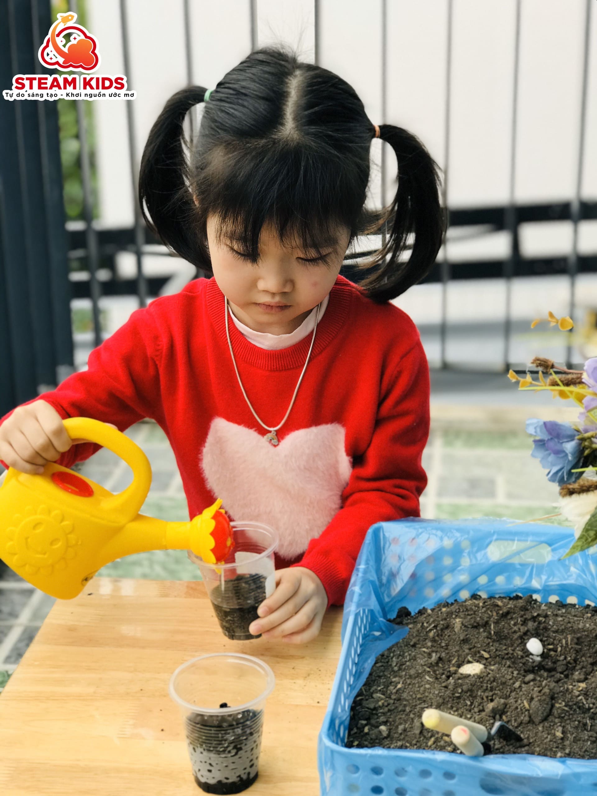 CÂY CẦN GÌ ĐỂ LỚN LÊN VÀ PHÁT TRIỂN!! - Trường Mầm Non STEAM KIDS