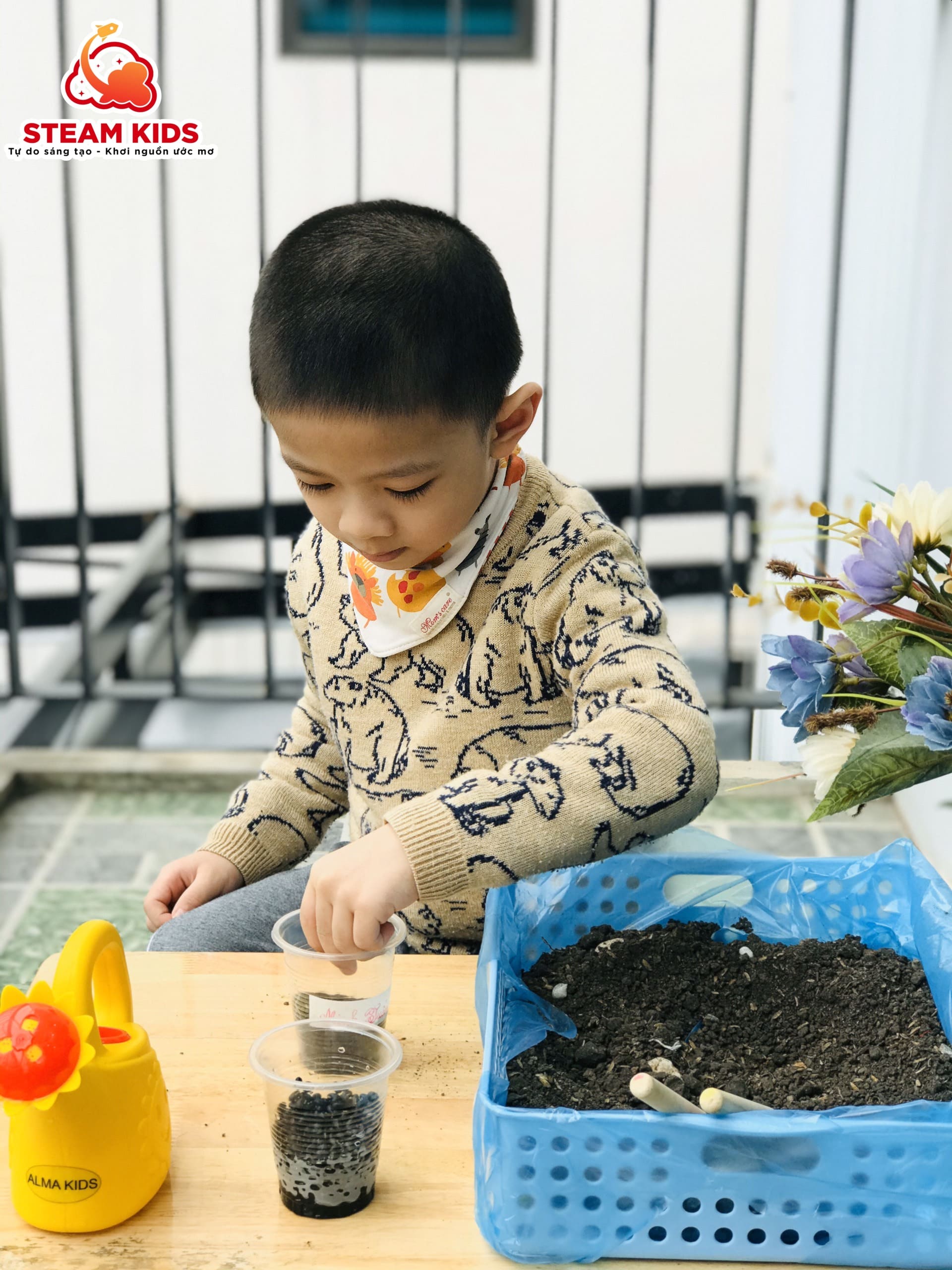 CÂY CẦN GÌ ĐỂ LỚN LÊN VÀ PHÁT TRIỂN!! - Trường Mầm Non STEAM KIDS