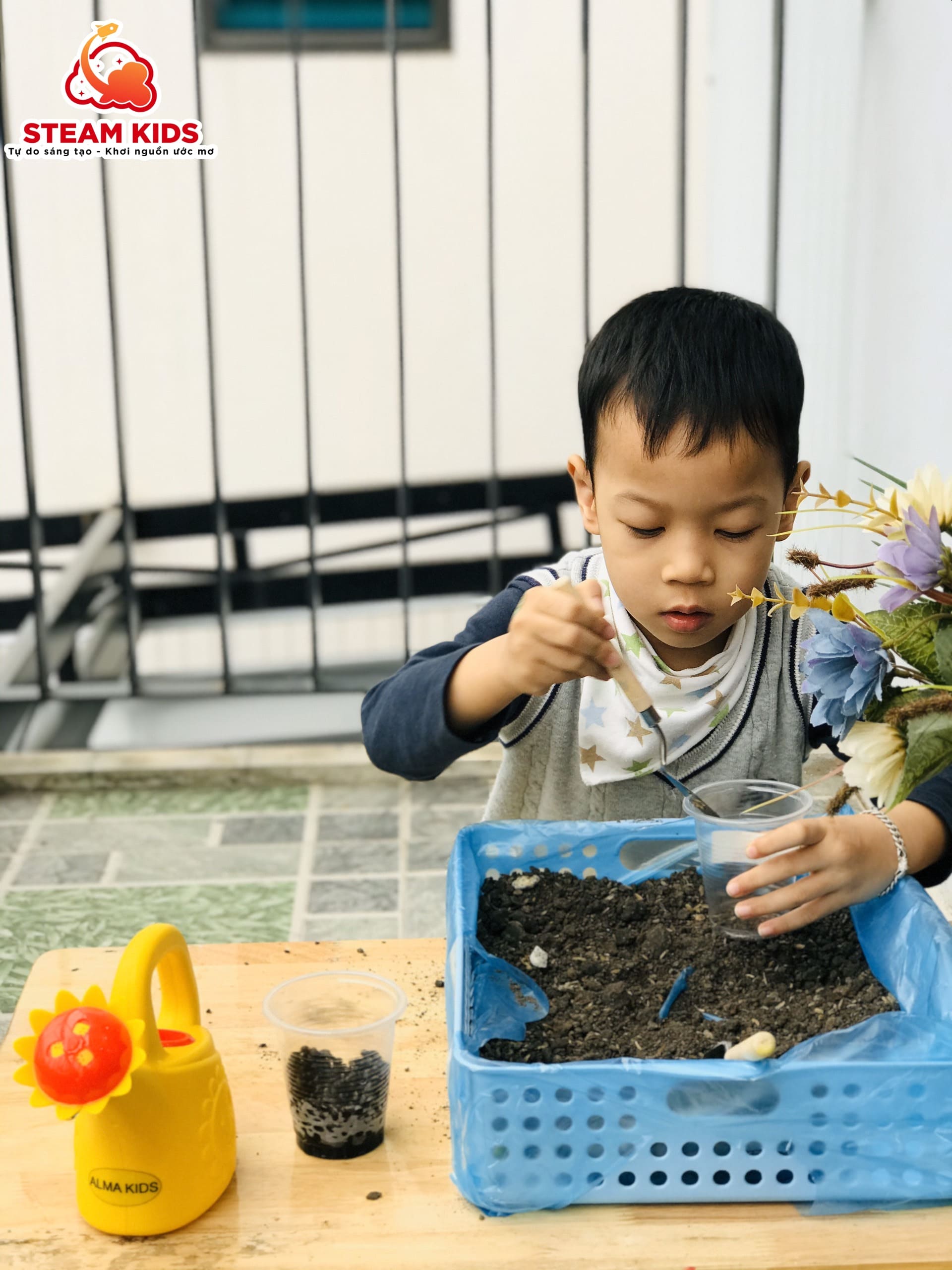 CÂY CẦN GÌ ĐỂ LỚN LÊN VÀ PHÁT TRIỂN!! - Trường Mầm Non STEAM KIDS