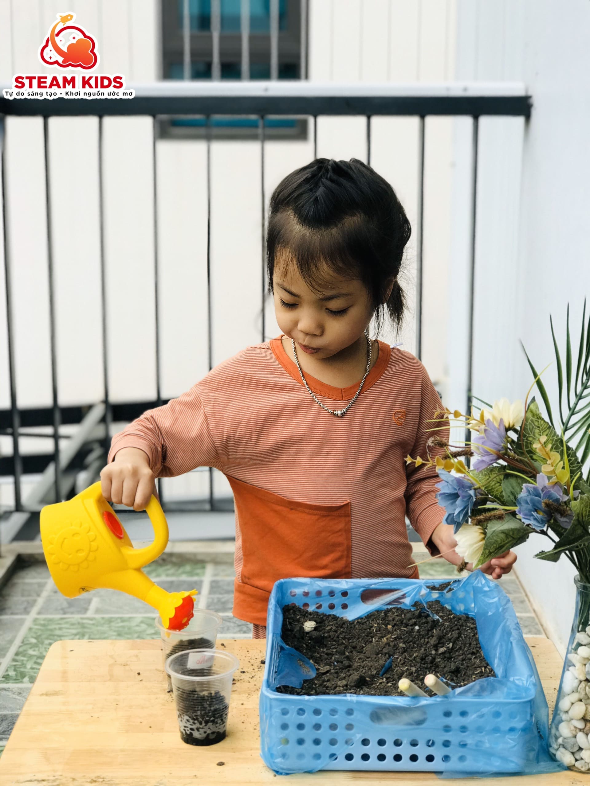 CÂY CẦN GÌ ĐỂ LỚN LÊN VÀ PHÁT TRIỂN!! - Trường Mầm Non STEAM KIDS
