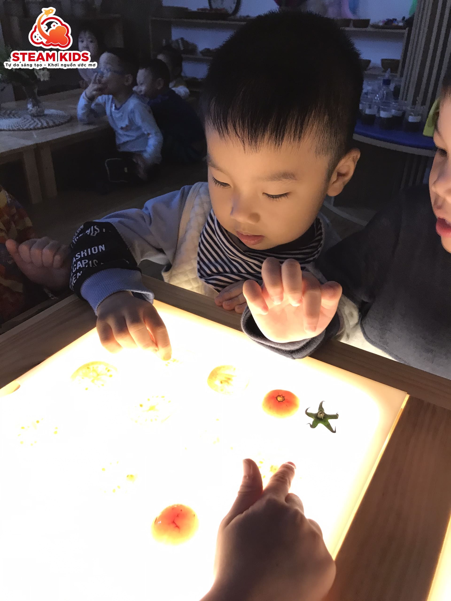 HOẠT ĐỘNG REGGIO: KHÁM PHÁ QUẢ CÀ CHUA TRÊN BÀN ÁNH SÁNG - Trường Mầm Non STEAM KIDS