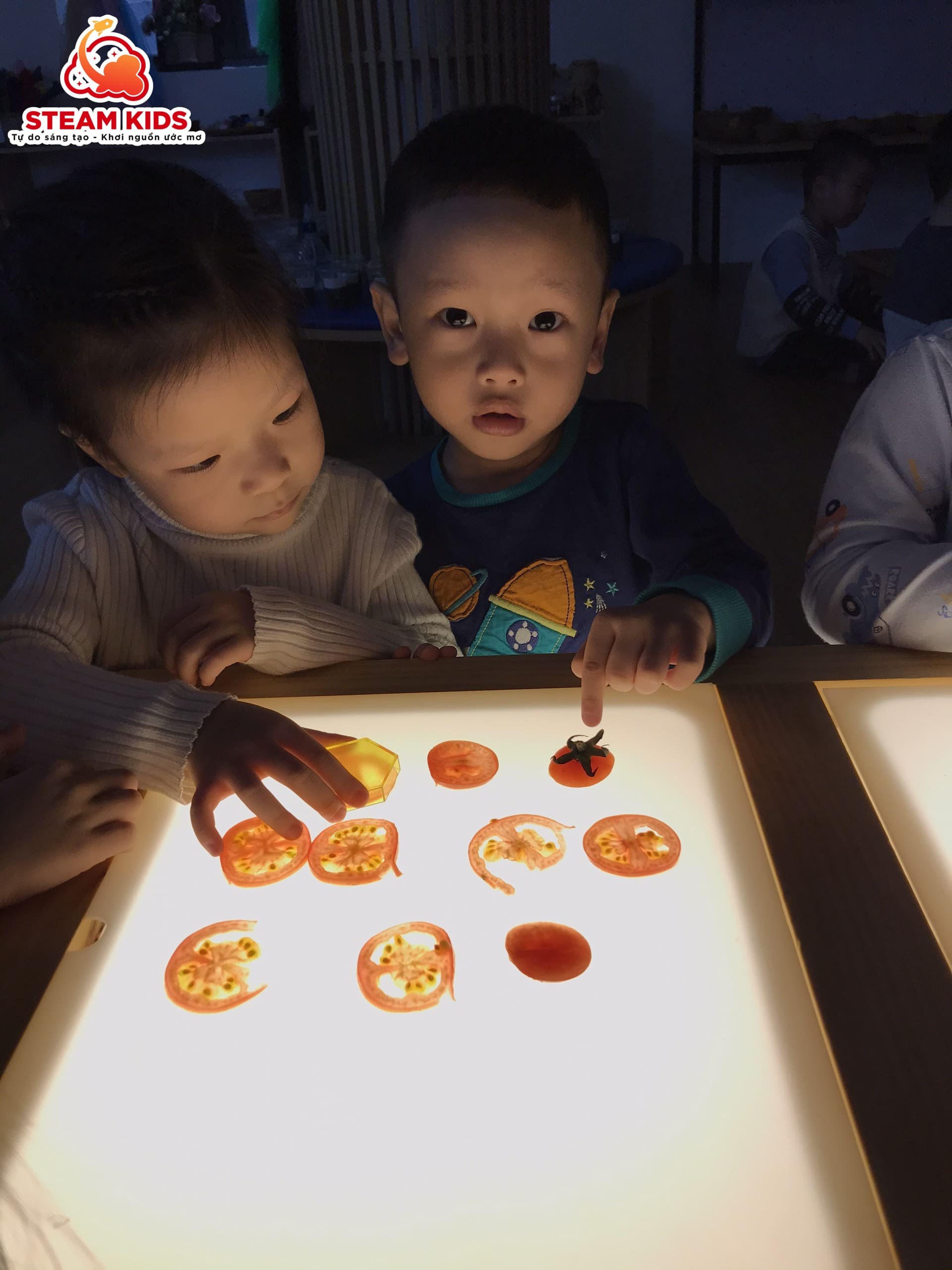 HOẠT ĐỘNG REGGIO: KHÁM PHÁ QUẢ CÀ CHUA TRÊN BÀN ÁNH SÁNG - Trường Mầm Non STEAM KIDS