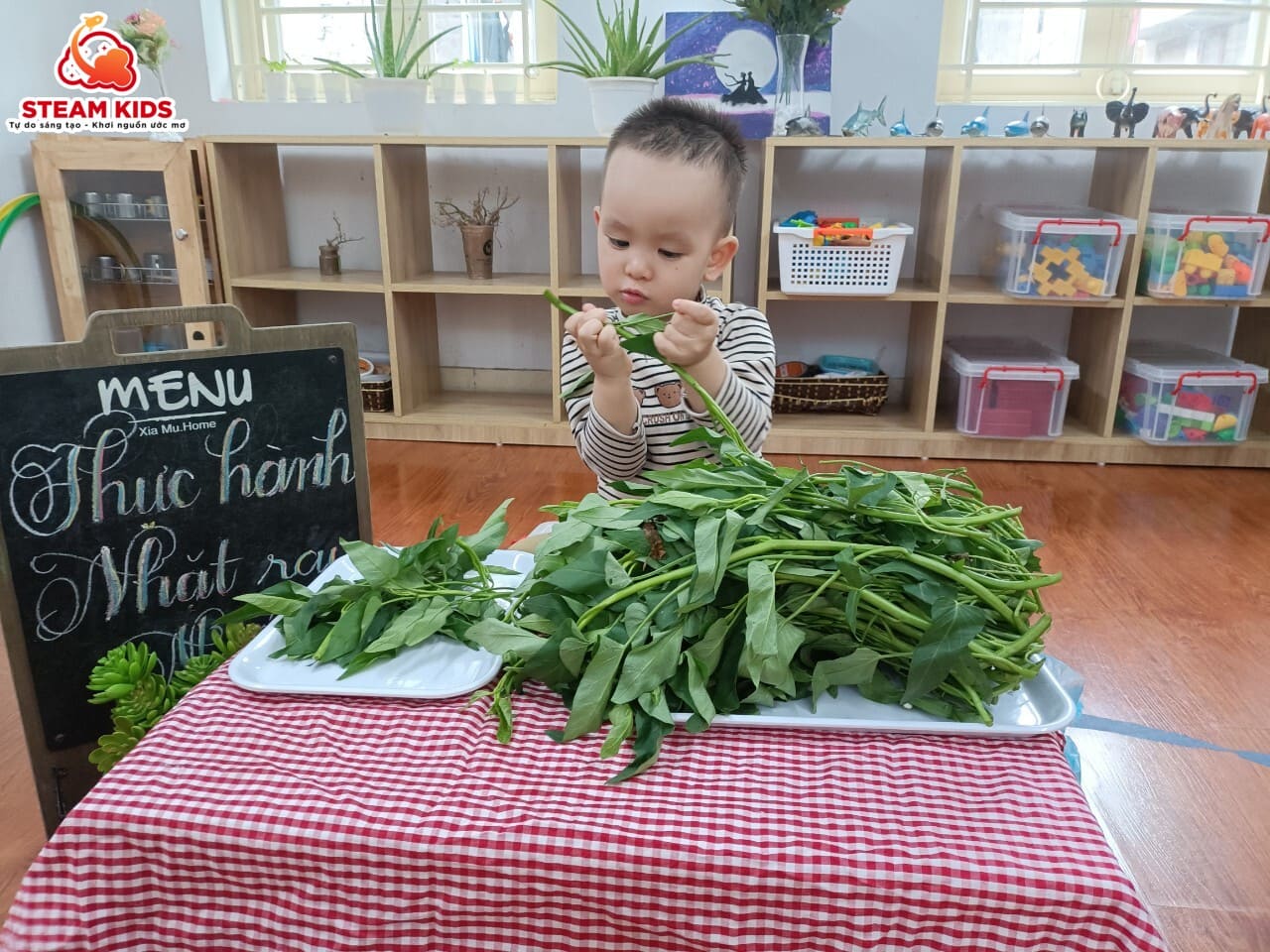 THỰC HÀNH NHẶT RAU MUỐNG - Trường Mầm Non STEAM KIDS