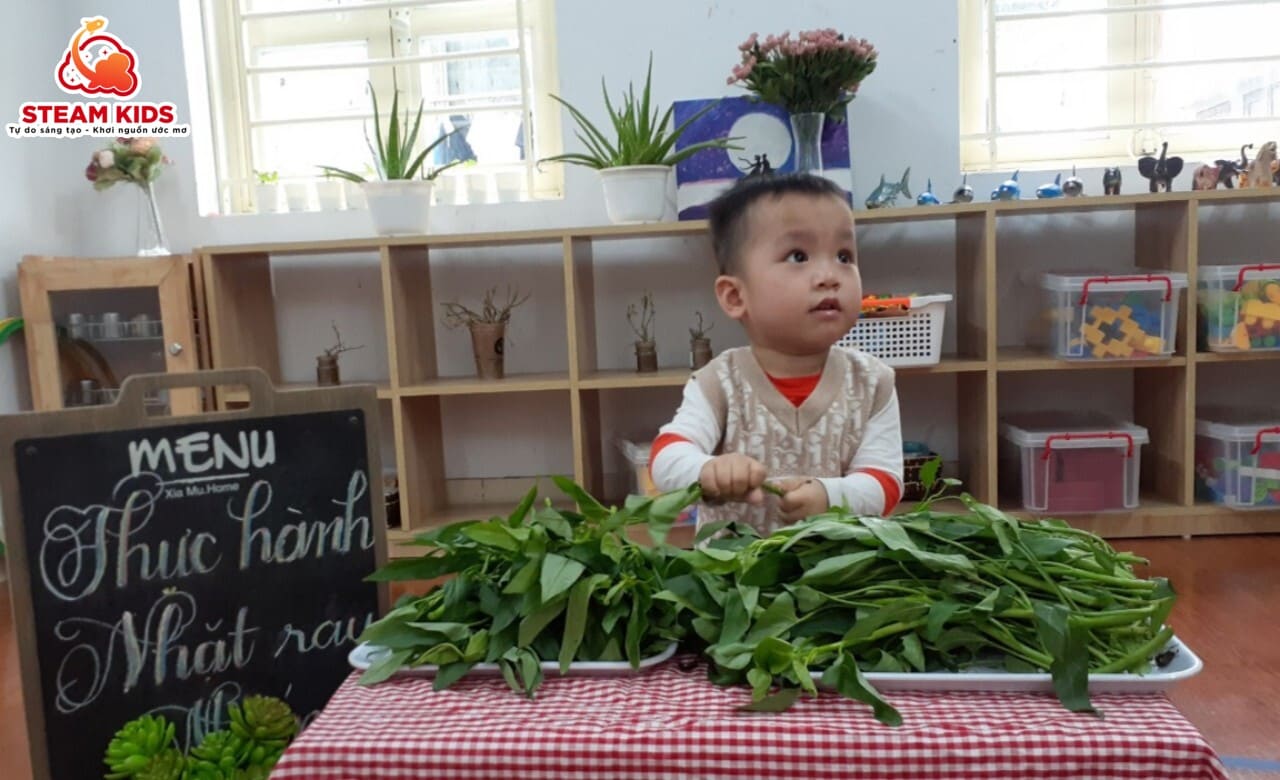 THỰC HÀNH NHẶT RAU MUỐNG - Trường Mầm Non STEAM KIDS