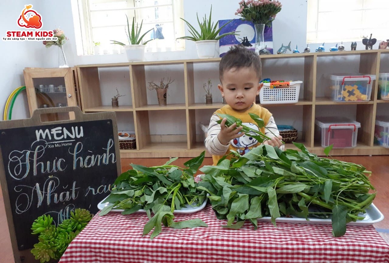 THỰC HÀNH NHẶT RAU MUỐNG - Trường Mầm Non STEAM KIDS