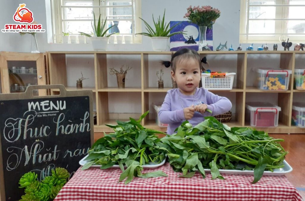 THỰC HÀNH NHẶT RAU MUỐNG - Trường Mầm Non STEAM KIDS