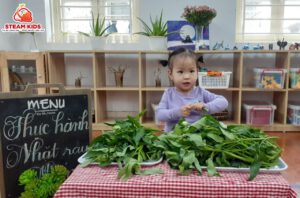 THỰC HÀNH NHẶT RAU MUỐNG - Trường Mầm Non STEAM KIDS
