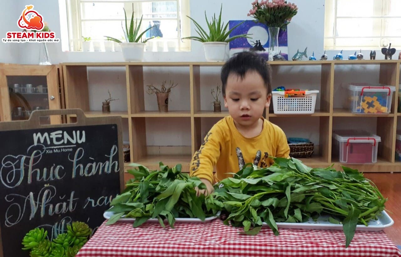 THỰC HÀNH NHẶT RAU MUỐNG - Trường Mầm Non STEAM KIDS