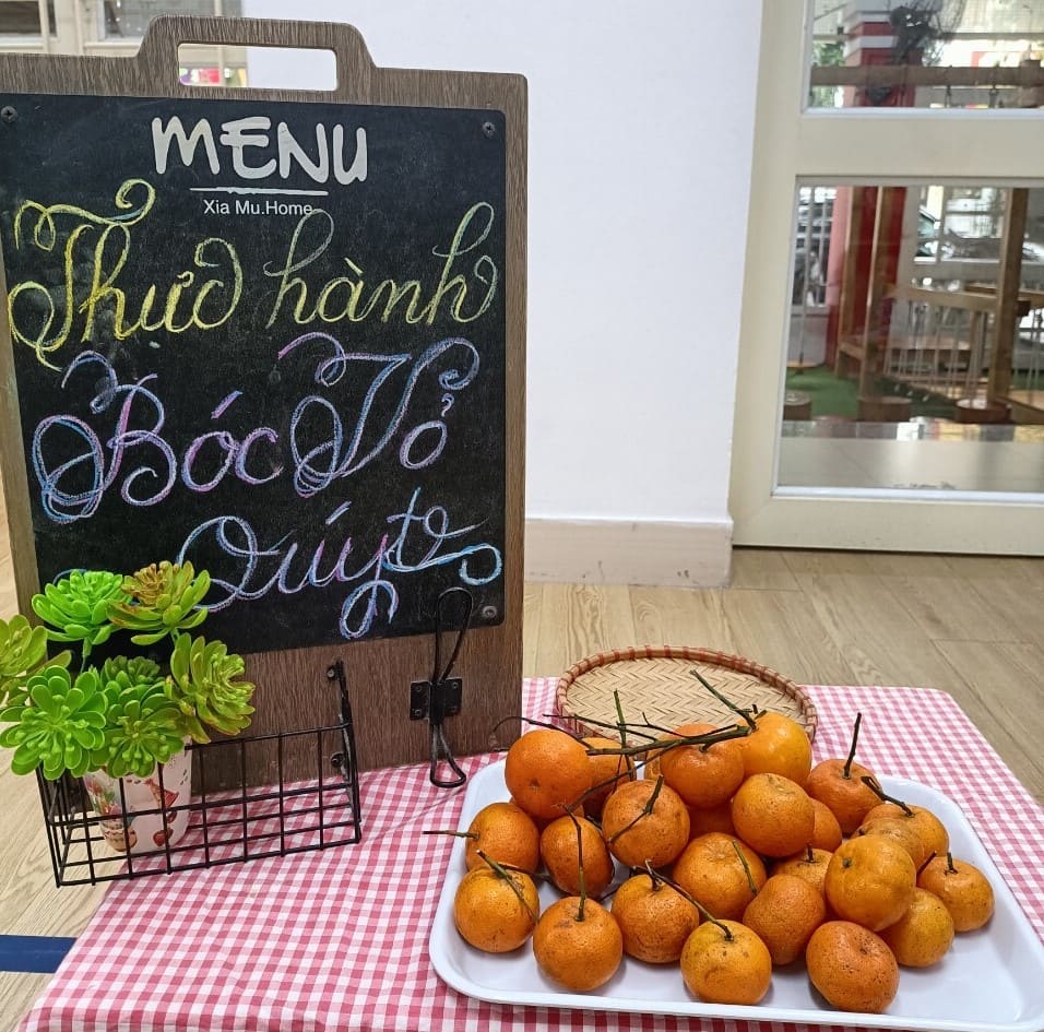 Thực hành Cuộc Sống: Bóc Vỏ Quýt Lớp Steam 13 - Trường Mầm Non STEAM KIDS