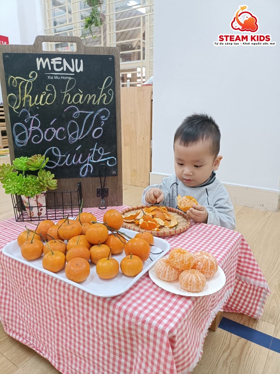 Thực hành Cuộc Sống: Bóc Vỏ Quýt Lớp Steam 13 - Trường Mầm Non STEAM KIDS