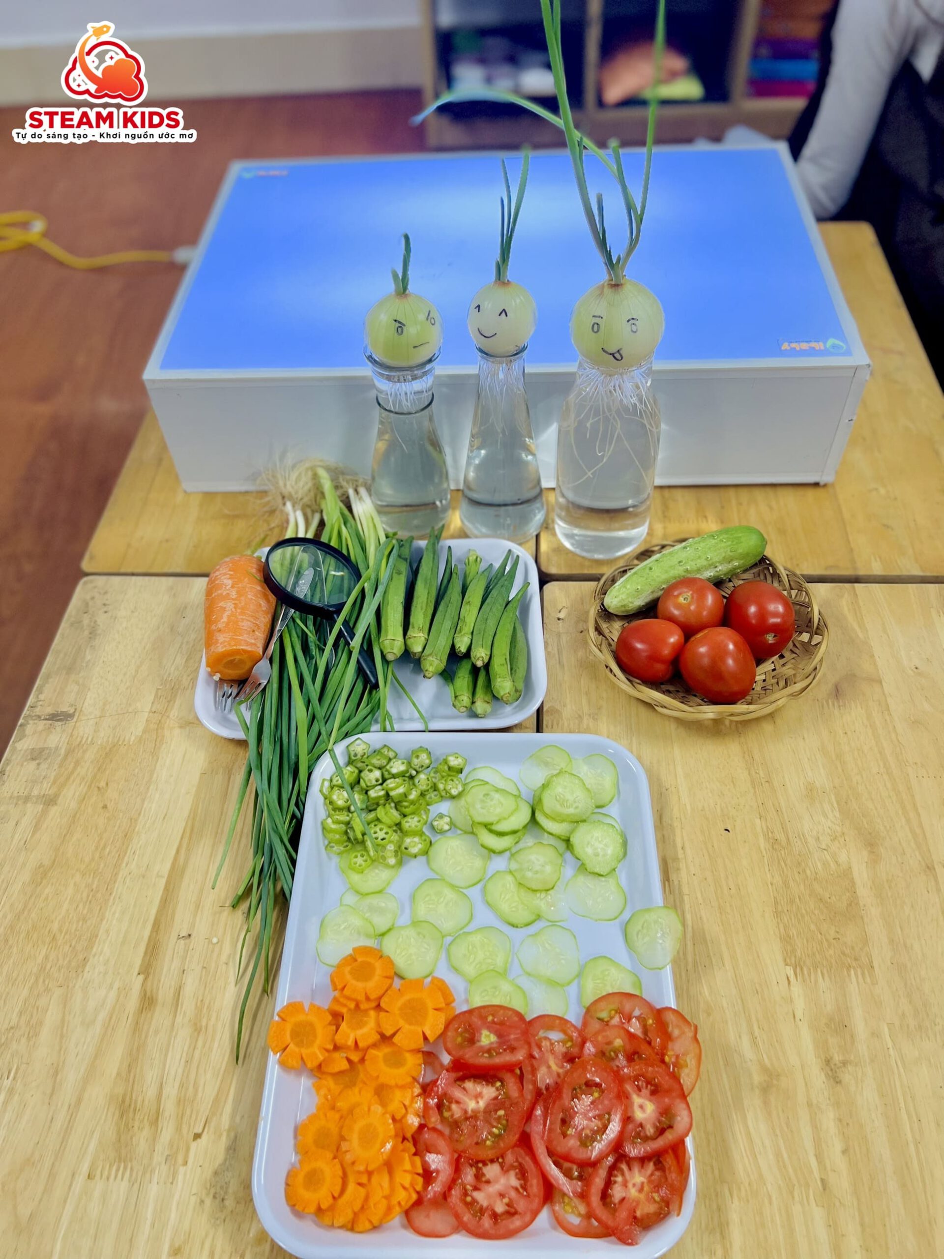 HOẠT ĐỘNG VỚI BÀN ÁNH SÁNG LỚP STEAM2 HOẠT ĐỘNG VỚI BÀN ÁNH SÁNG LỚP STEAM2 - Trường Mầm Non STEAM KIDS