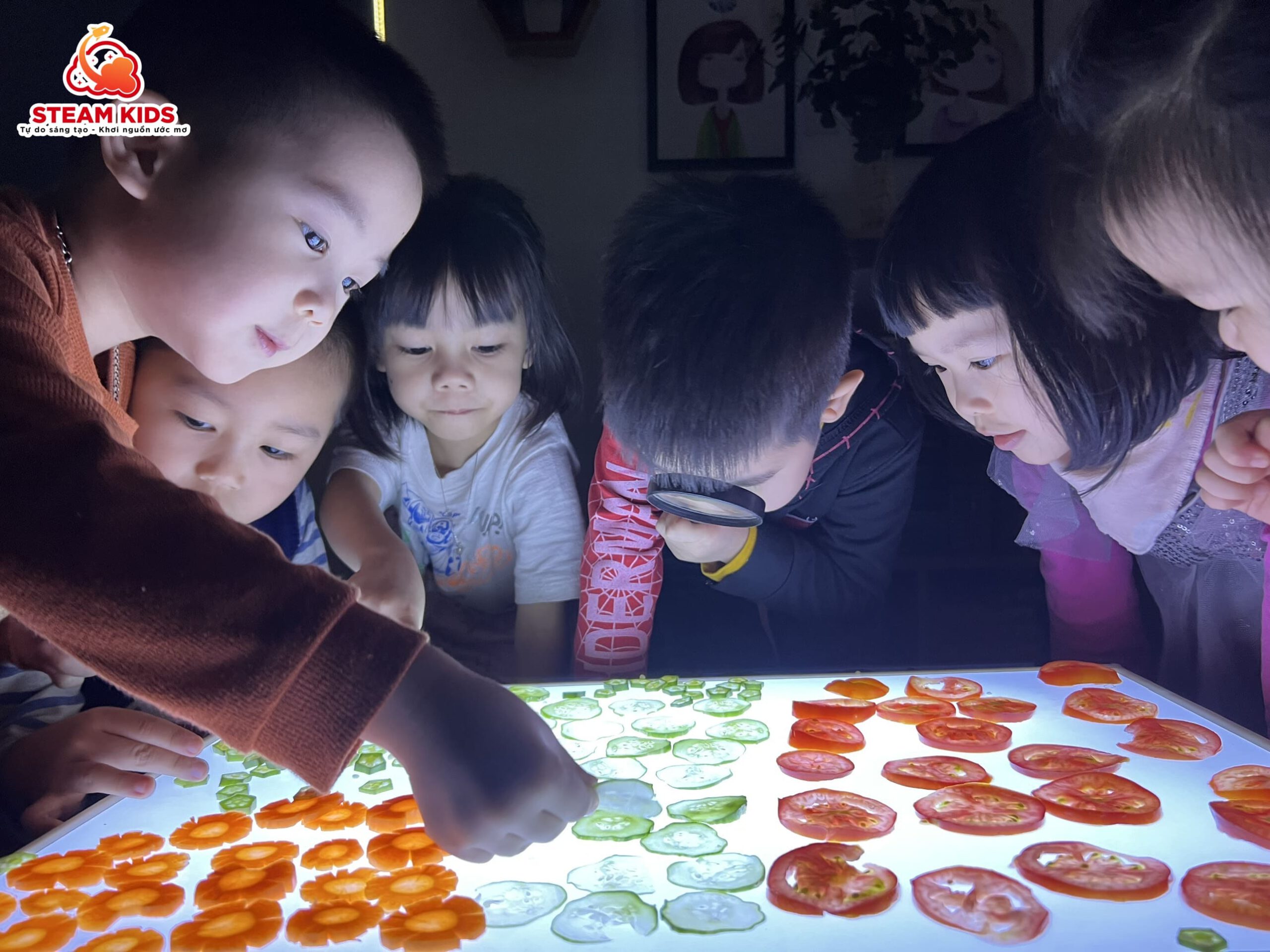 HOẠT ĐỘNG VỚI BÀN ÁNH SÁNG LỚP STEAM2 HOẠT ĐỘNG VỚI BÀN ÁNH SÁNG LỚP STEAM2 - Trường Mầm Non STEAM KIDS