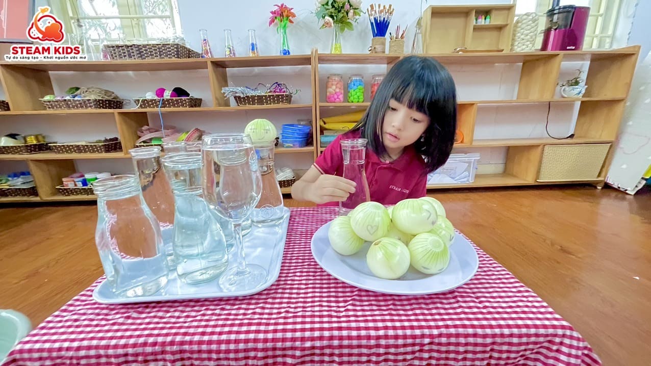 BÉ TRỒNG CÂY THỦY SINH - Trường Mầm Non STEAM KIDS