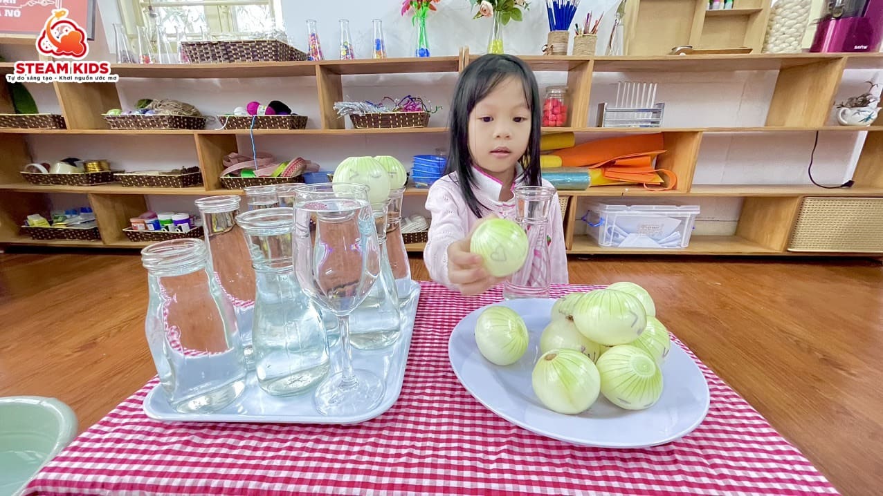 BÉ TRỒNG CÂY THỦY SINH - Trường Mầm Non STEAM KIDS