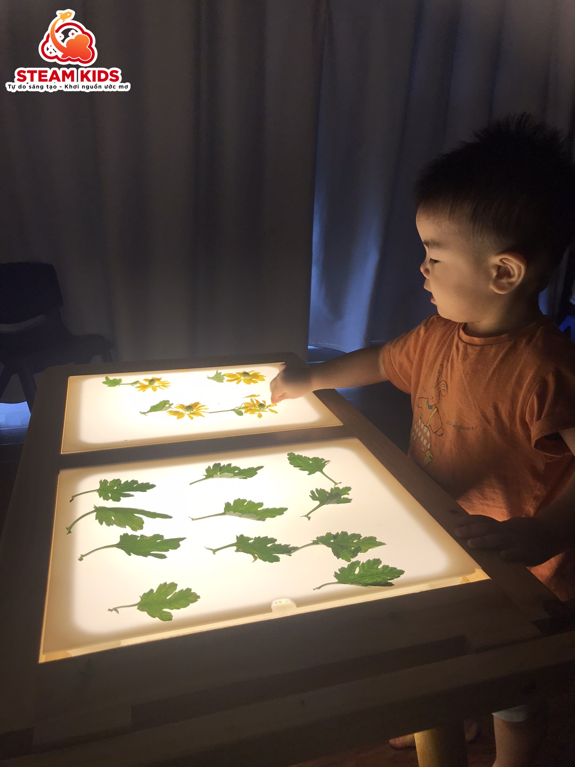 HOẠT ĐỘNG VỚI BÀN ÁNH SÁNG: KHÁM PHÁ HOA CÚC HOẠT ĐỘNG VỚI BÀN ÁNH SÁNG: KHÁM PHÁ HOA CÚC - Trường Mầm Non STEAM KIDS