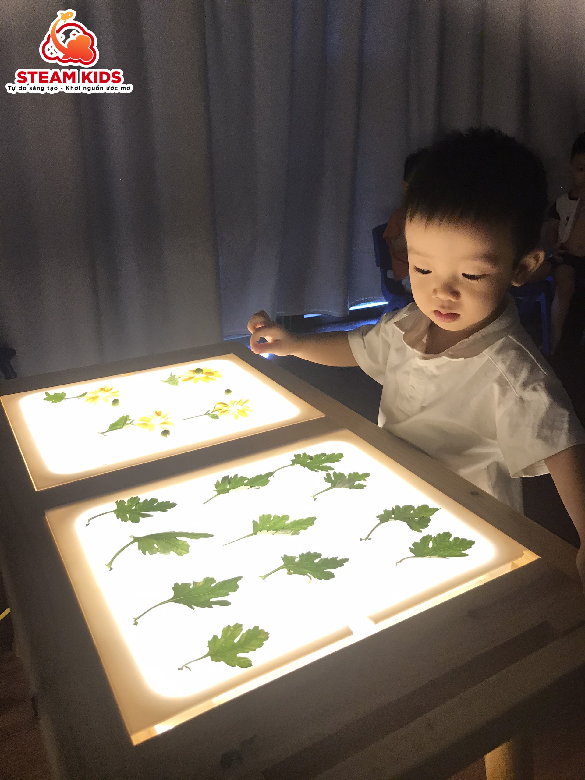 HOẠT ĐỘNG VỚI BÀN ÁNH SÁNG: KHÁM PHÁ HOA CÚC HOẠT ĐỘNG VỚI BÀN ÁNH SÁNG: KHÁM PHÁ HOA CÚC - Trường Mầm Non STEAM KIDS