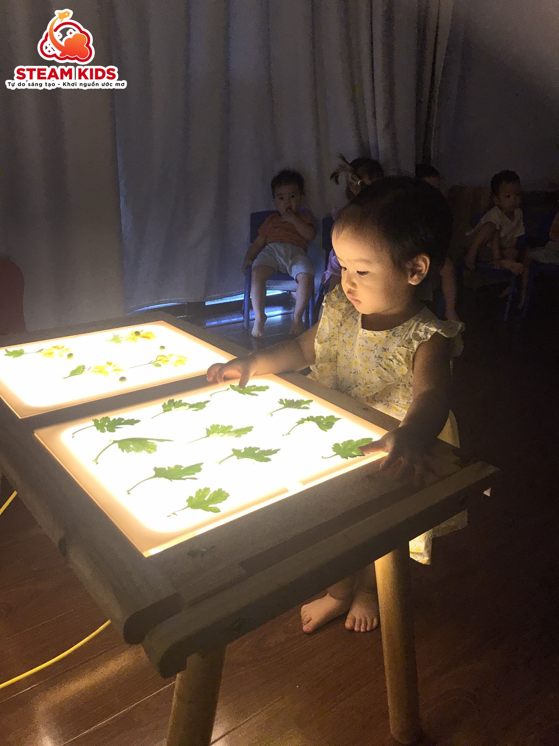 HOẠT ĐỘNG VỚI BÀN ÁNH SÁNG: KHÁM PHÁ HOA CÚC HOẠT ĐỘNG VỚI BÀN ÁNH SÁNG: KHÁM PHÁ HOA CÚC - Trường Mầm Non STEAM KIDS