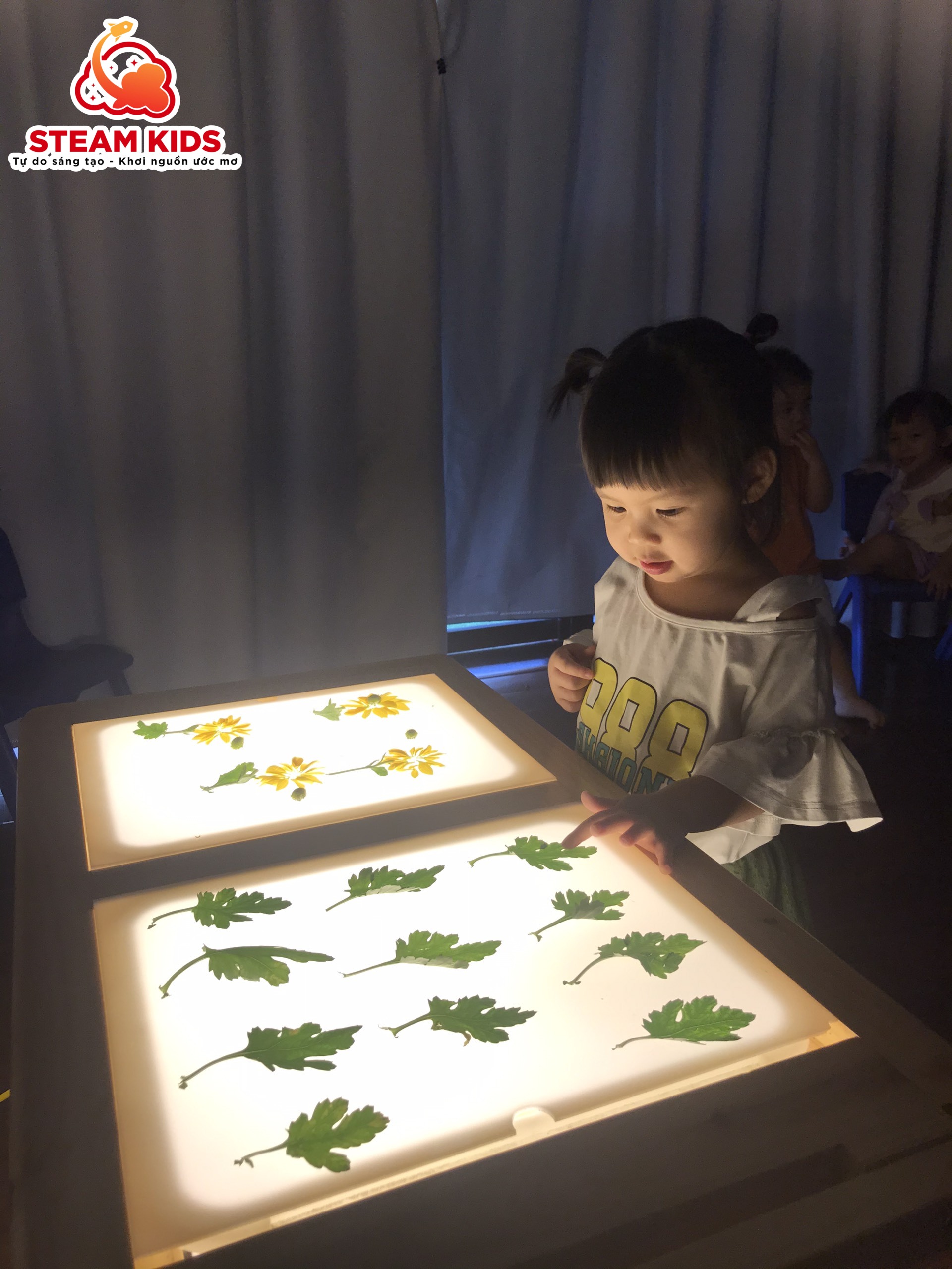 HOẠT ĐỘNG VỚI BÀN ÁNH SÁNG: KHÁM PHÁ HOA CÚC HOẠT ĐỘNG VỚI BÀN ÁNH SÁNG: KHÁM PHÁ HOA CÚC - Trường Mầm Non STEAM KIDS