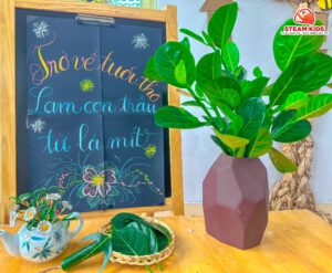HOẠT ĐỘNG TRẢI NGHIỆM: TRỞ VỀ TUỔI THƠ - LÀM CON TRÂU TỪ LÁ MÍT - Trường Mầm Non STEAM KIDS