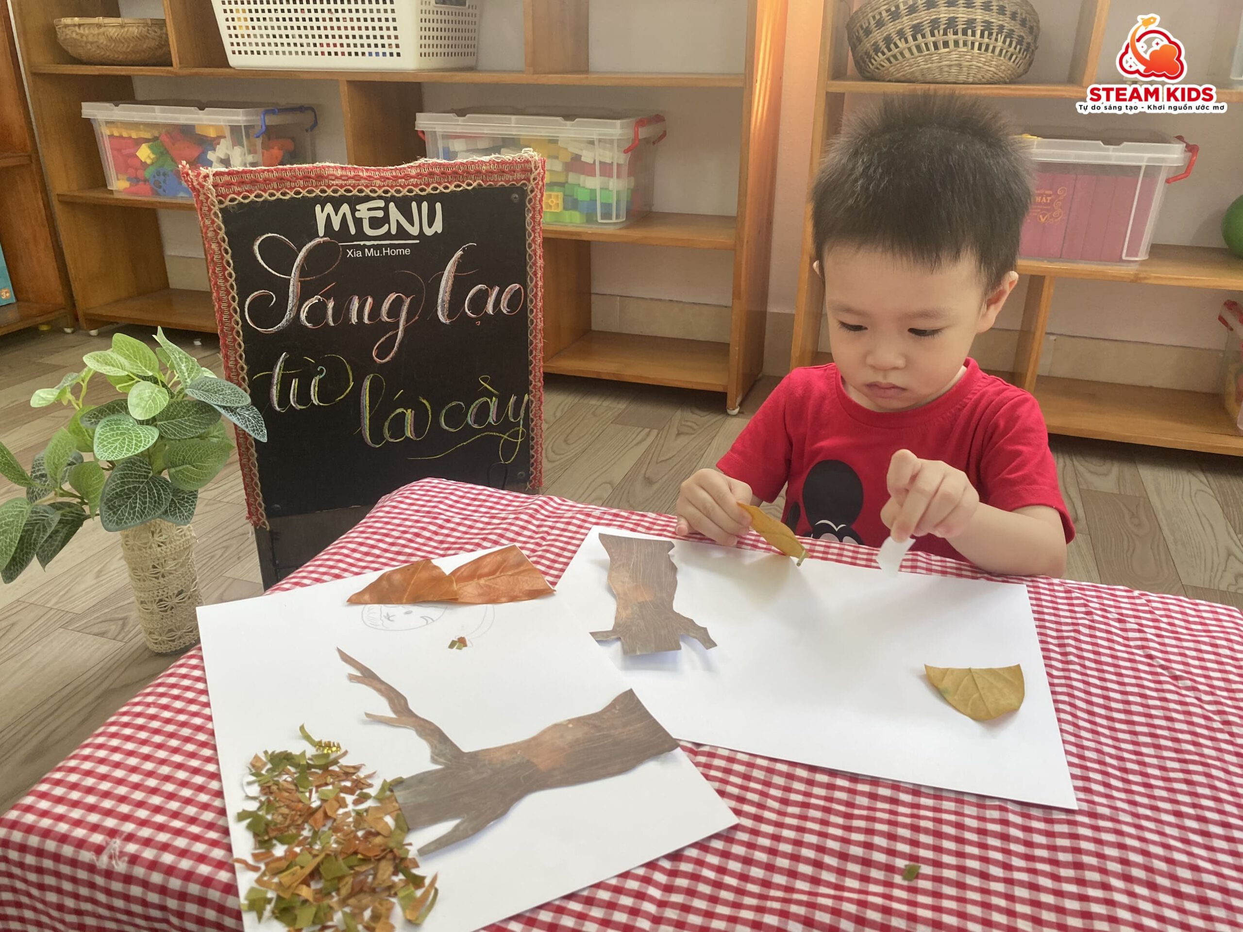 SÁNG TẠO TỪ LÁ CÂY SÁNG TẠO TỪ LÁ CÂY - Trường Mầm Non STEAM KIDS