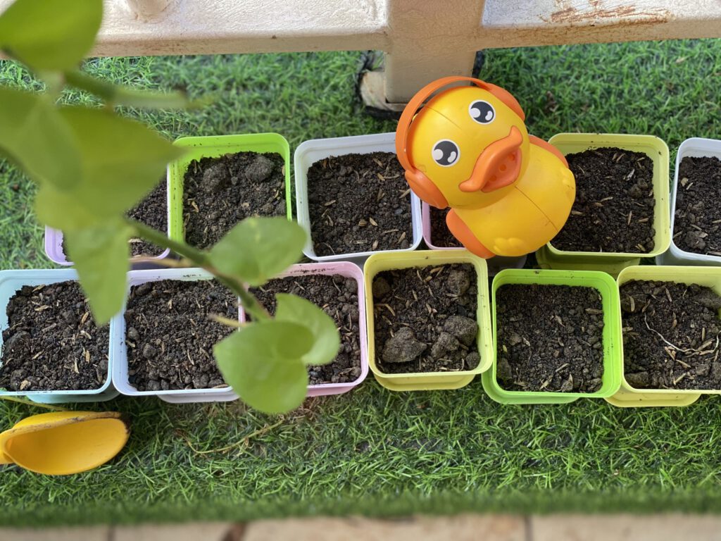 HOẠT ĐỘNG TRẢI NGHIỆM: BÉ KHÉO TAY GIEO HẠT HOẠT ĐỘNG TRẢI NGHIỆM: BÉ KHÉO TAY GIEO HẠT - Trường Mầm Non STEAM KIDS