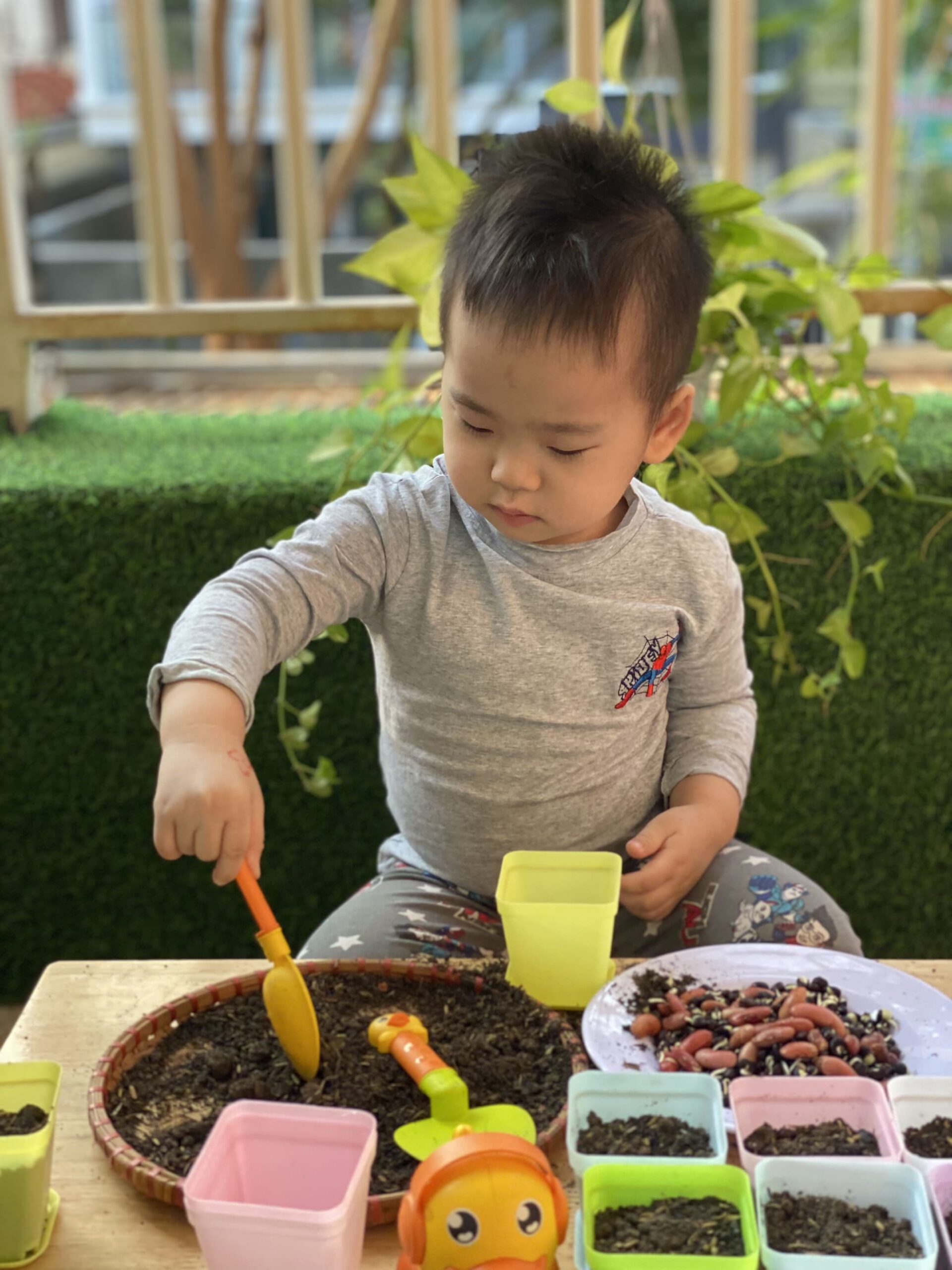 HOẠT ĐỘNG TRẢI NGHIỆM: BÉ KHÉO TAY GIEO HẠT HOẠT ĐỘNG TRẢI NGHIỆM: BÉ KHÉO TAY GIEO HẠT - Trường Mầm Non STEAM KIDS