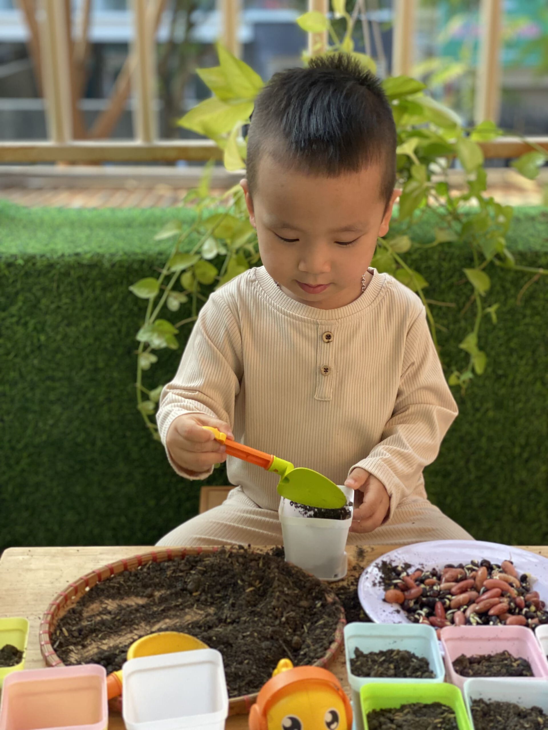 HOẠT ĐỘNG TRẢI NGHIỆM: BÉ KHÉO TAY GIEO HẠT HOẠT ĐỘNG TRẢI NGHIỆM: BÉ KHÉO TAY GIEO HẠT - Trường Mầm Non STEAM KIDS