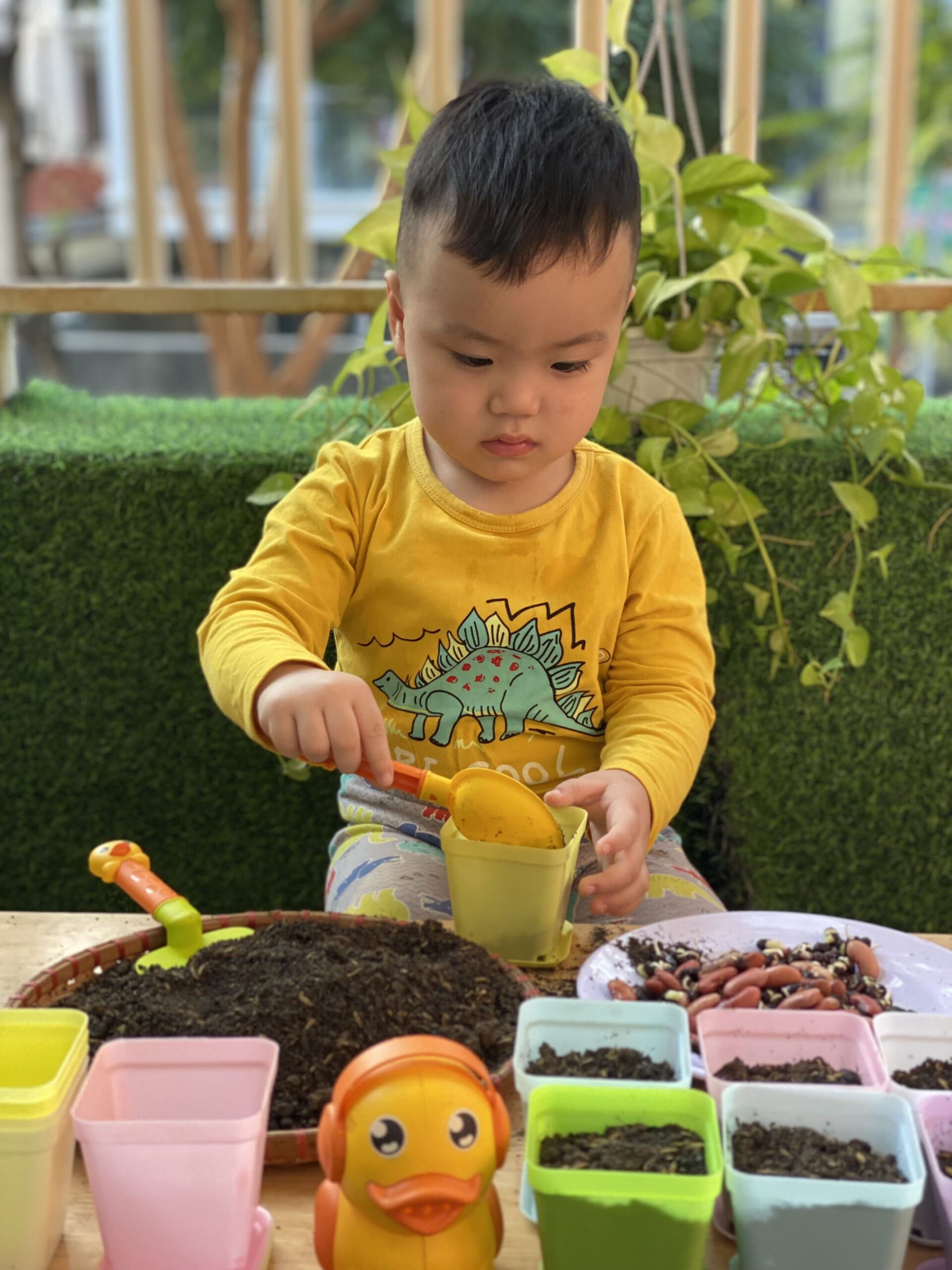 HOẠT ĐỘNG TRẢI NGHIỆM: BÉ KHÉO TAY GIEO HẠT HOẠT ĐỘNG TRẢI NGHIỆM: BÉ KHÉO TAY GIEO HẠT - Trường Mầm Non STEAM KIDS