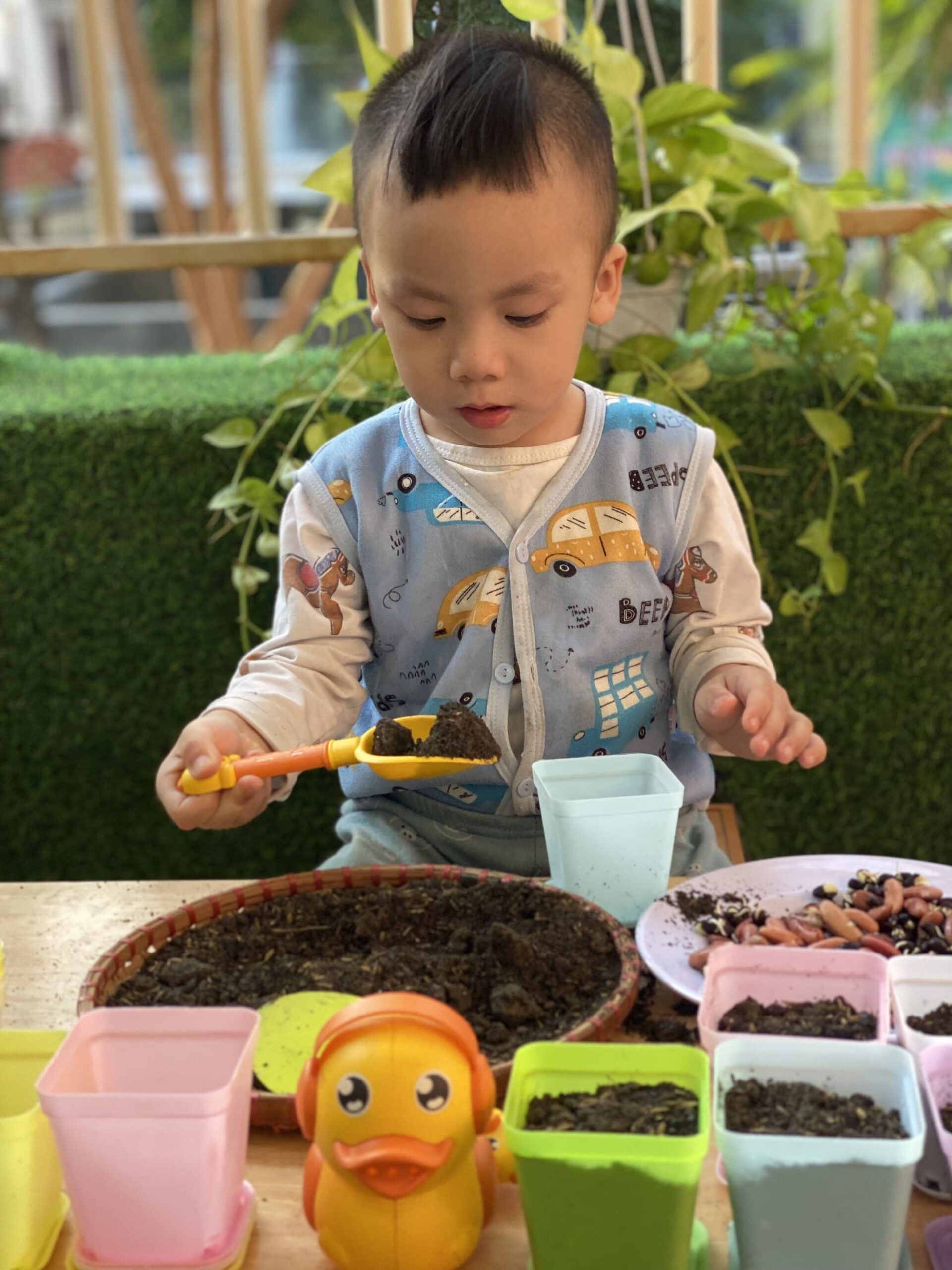 HOẠT ĐỘNG TRẢI NGHIỆM: BÉ KHÉO TAY GIEO HẠT HOẠT ĐỘNG TRẢI NGHIỆM: BÉ KHÉO TAY GIEO HẠT - Trường Mầm Non STEAM KIDS