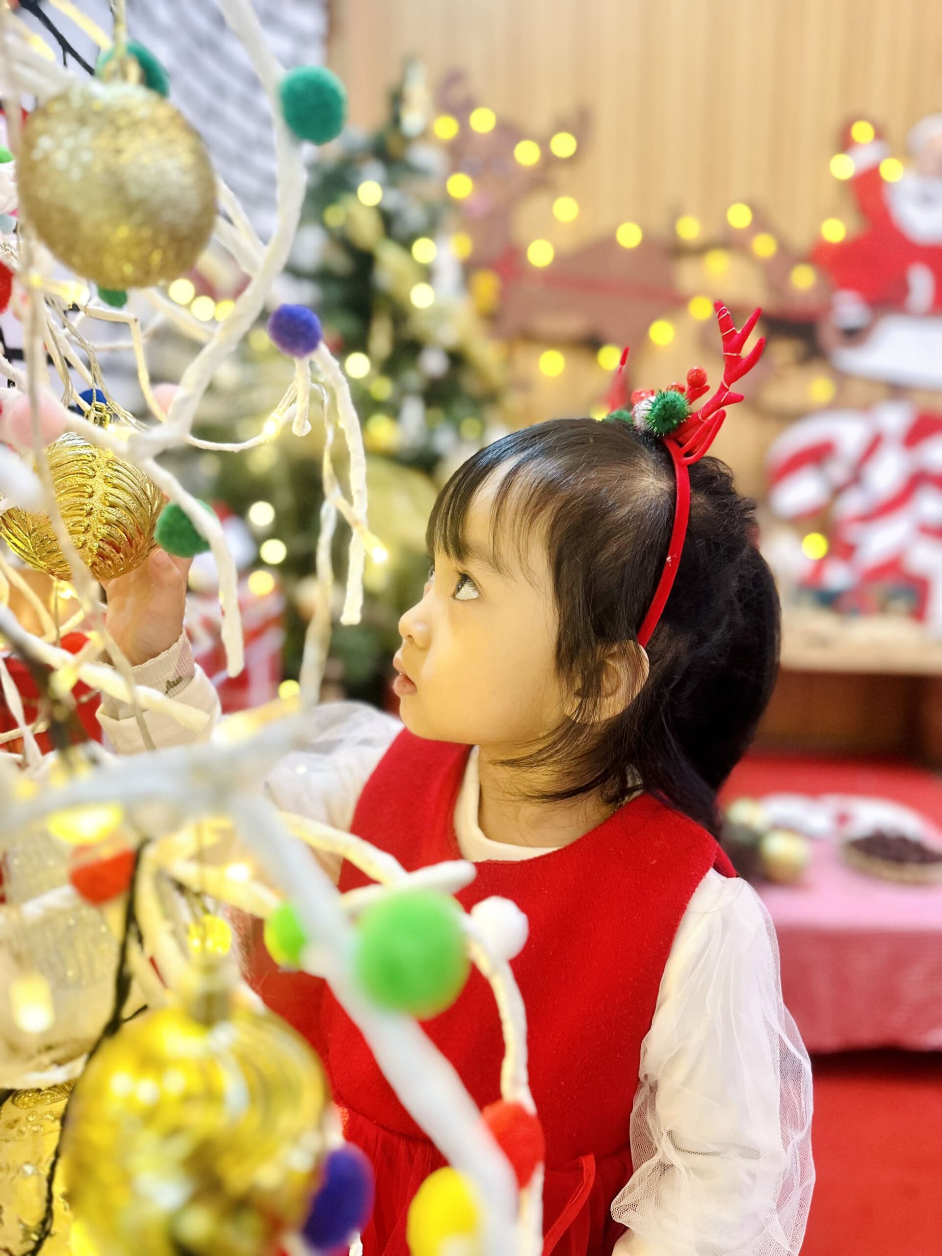 TRẢI NGHIỆM: CHÀO ĐÓN GIÁNG SINH AN LÀNH - Trường Mầm Non STEAM KIDS