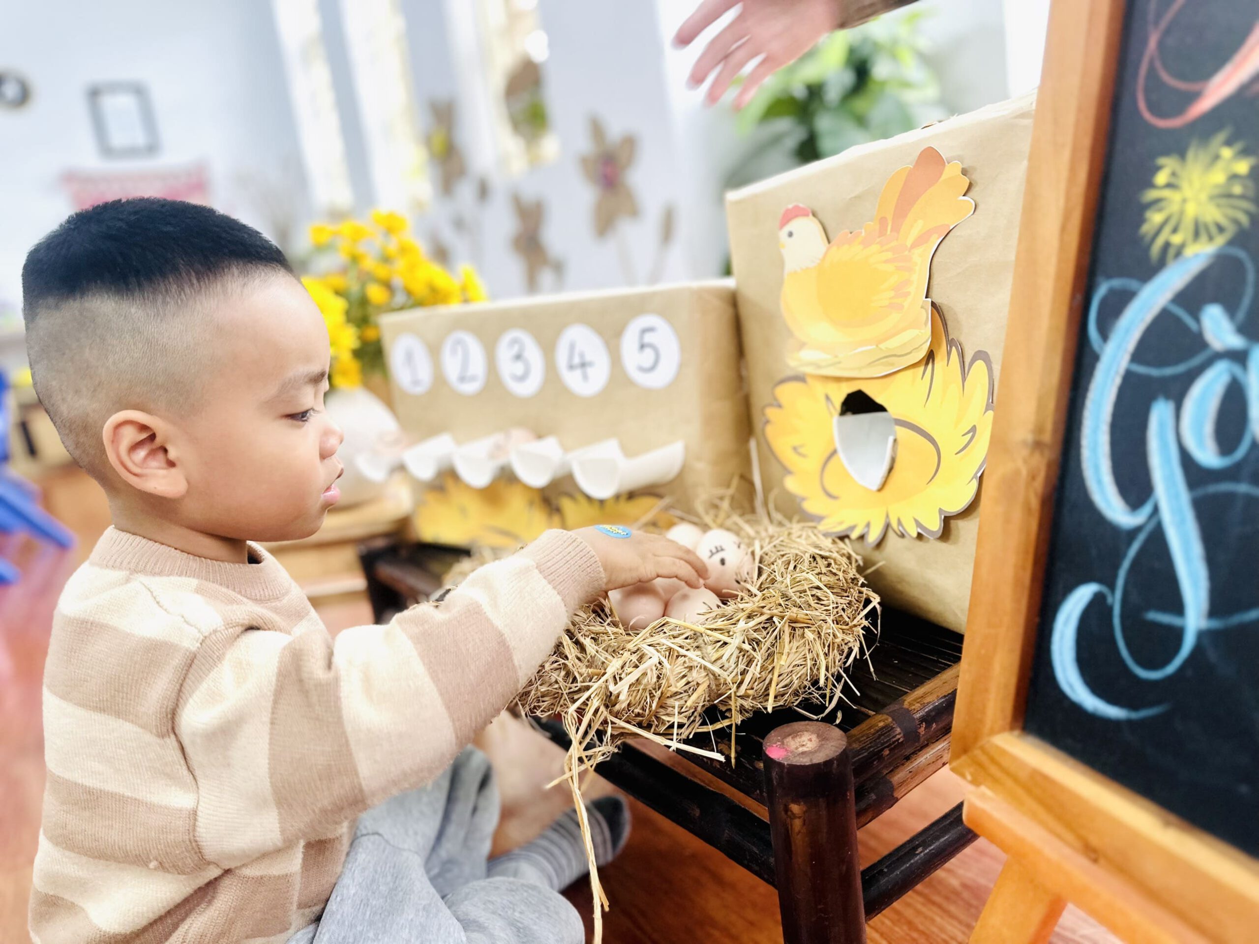 TRẢI NGHIỆM TRÒ CHƠI: GÀ ĐẺ TRỨNG - Trường Mầm Non STEAM KIDS