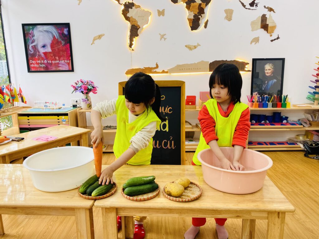 ẨM THỰC: SALAD RAU CỦ - Trường Mầm Non STEAM KIDS