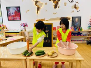 ẨM THỰC: SALAD RAU CỦ - Trường Mầm Non STEAM KIDS