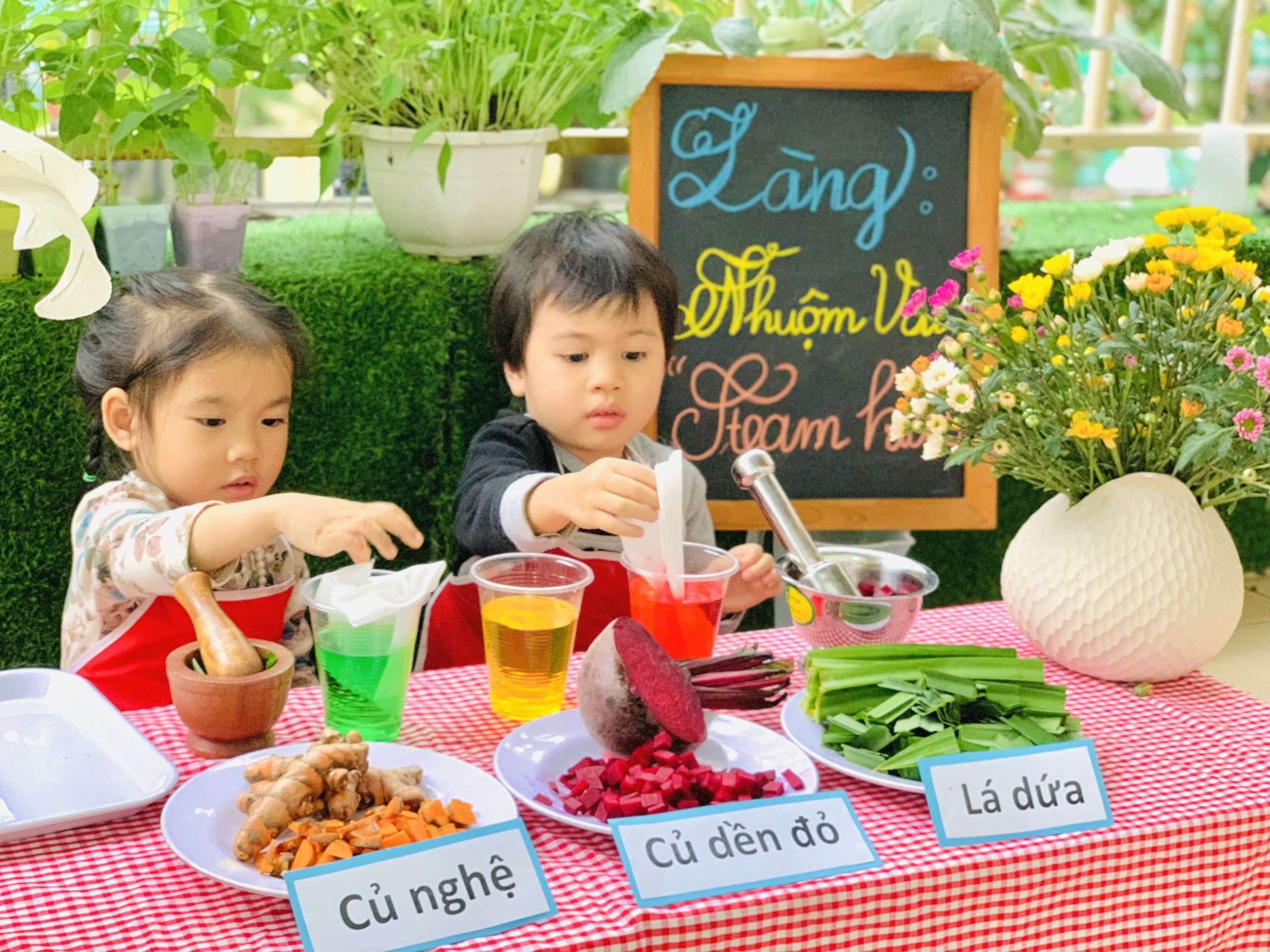 TRẢI NGHIỆM LÀNG NHUỘM VẢI STEAM - Trường Mầm Non STEAM KIDS