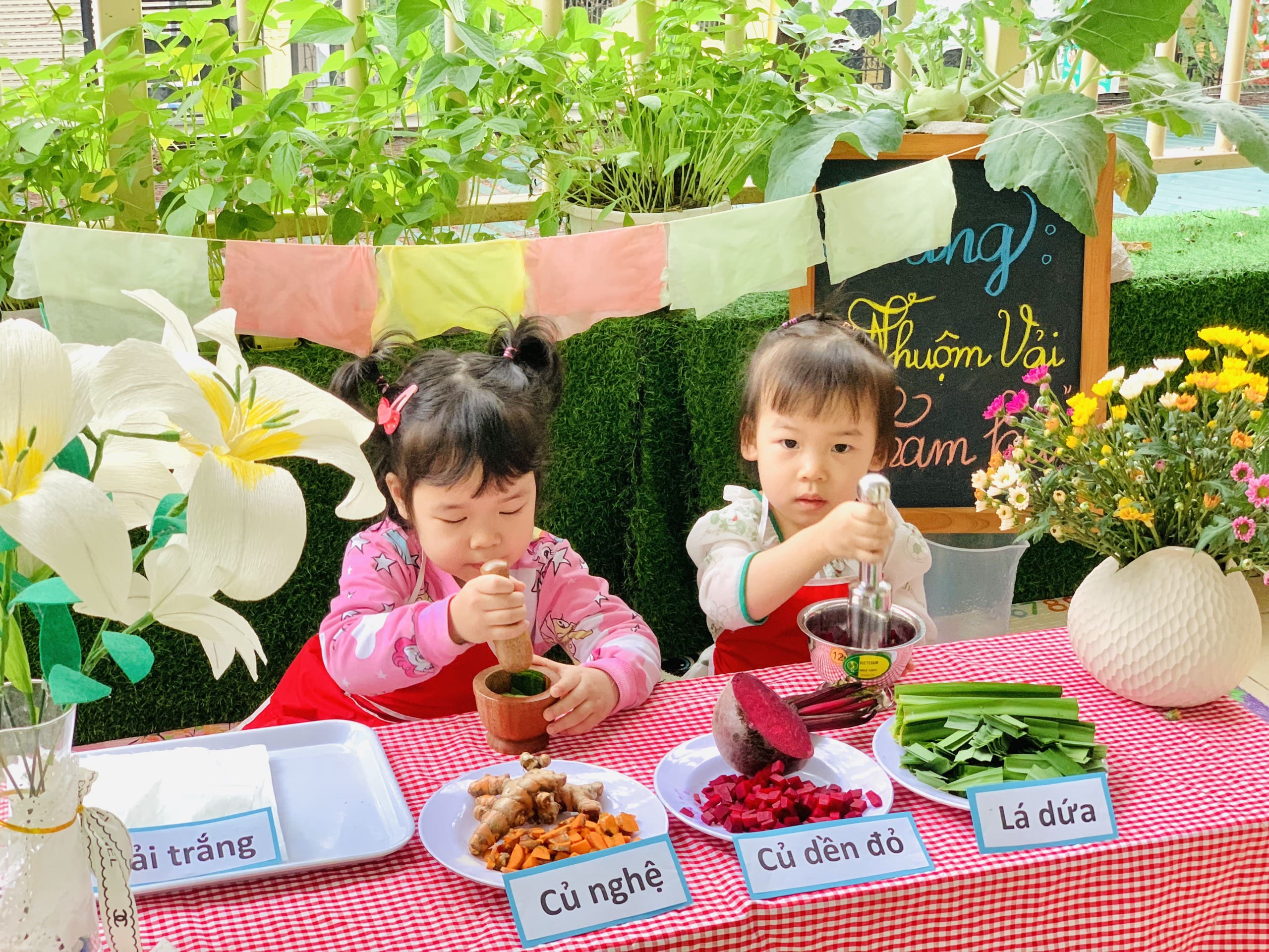 TRẢI NGHIỆM LÀNG NHUỘM VẢI STEAM - Trường Mầm Non STEAM KIDS