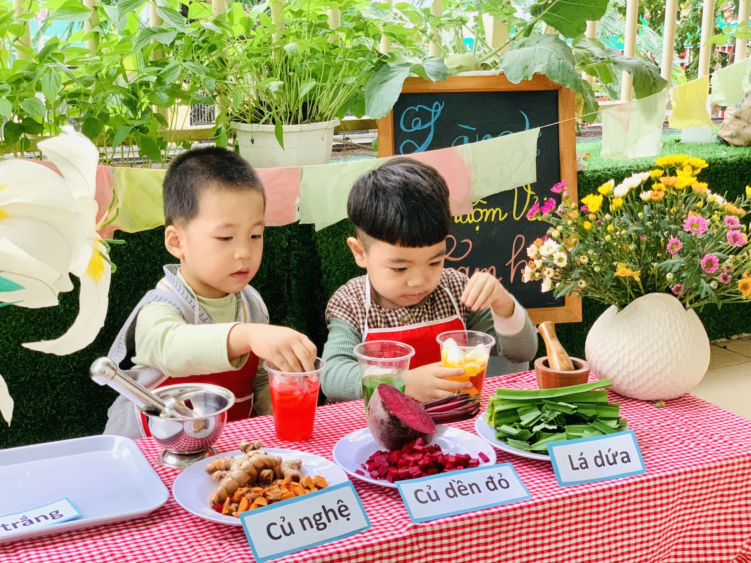 TRẢI NGHIỆM LÀNG NHUỘM VẢI STEAM - Trường Mầm Non STEAM KIDS