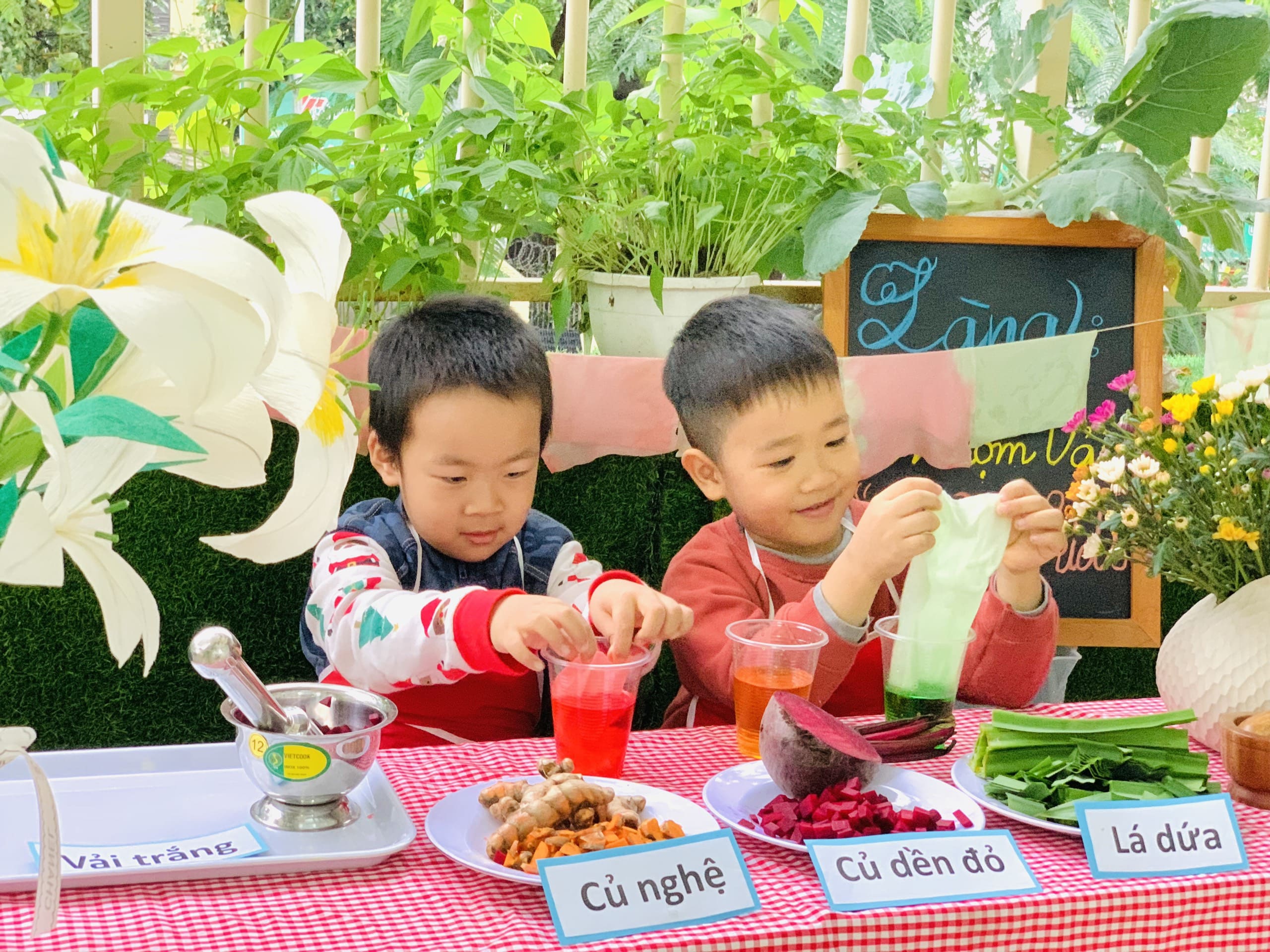 TRẢI NGHIỆM LÀNG NHUỘM VẢI STEAM - Trường Mầm Non STEAM KIDS