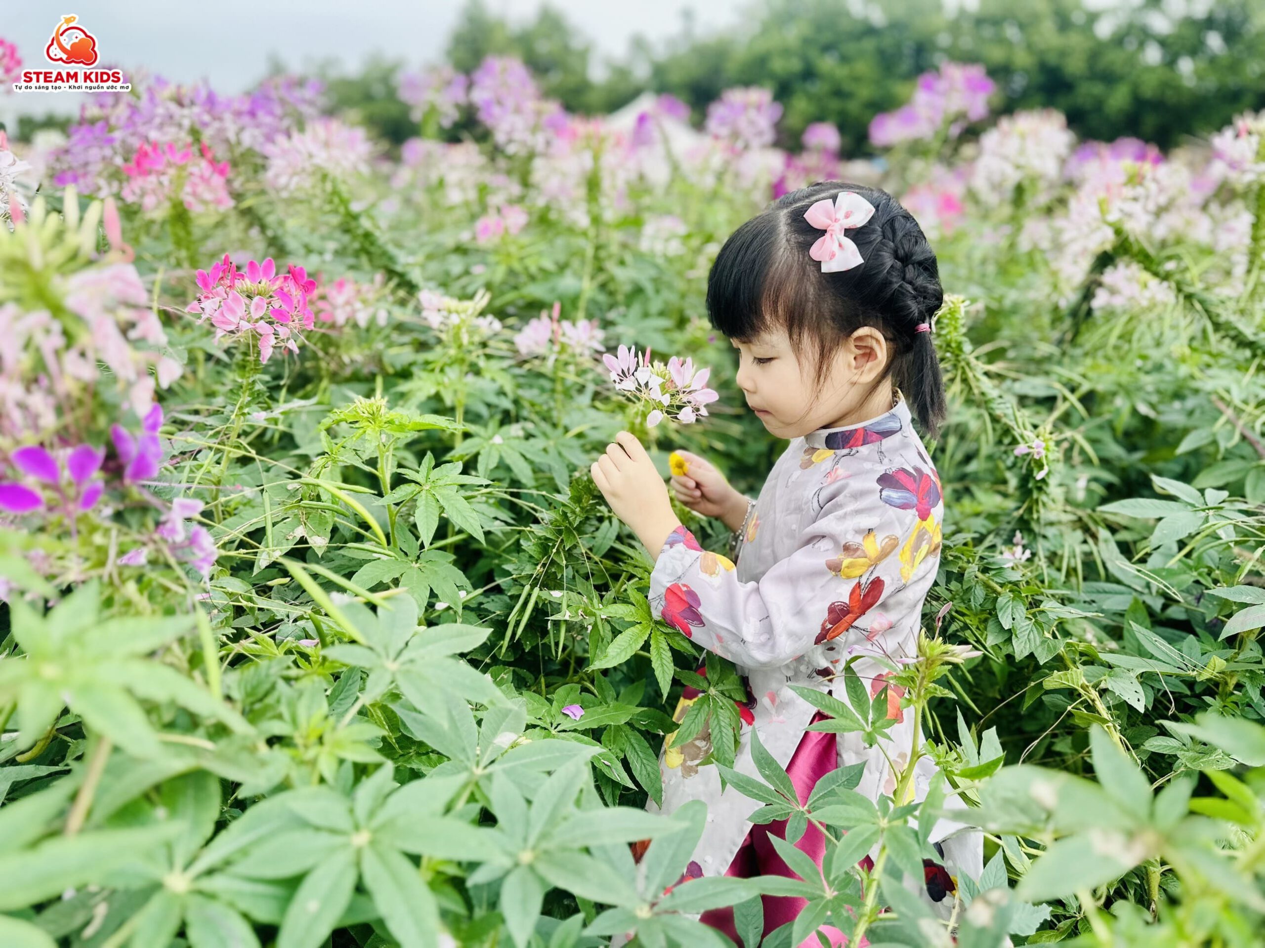 CÁC EM BÉ STEAM TỎA SÁNG BÊN THẢO NGUYÊN HOA - Trường Mầm Non STEAM KIDS