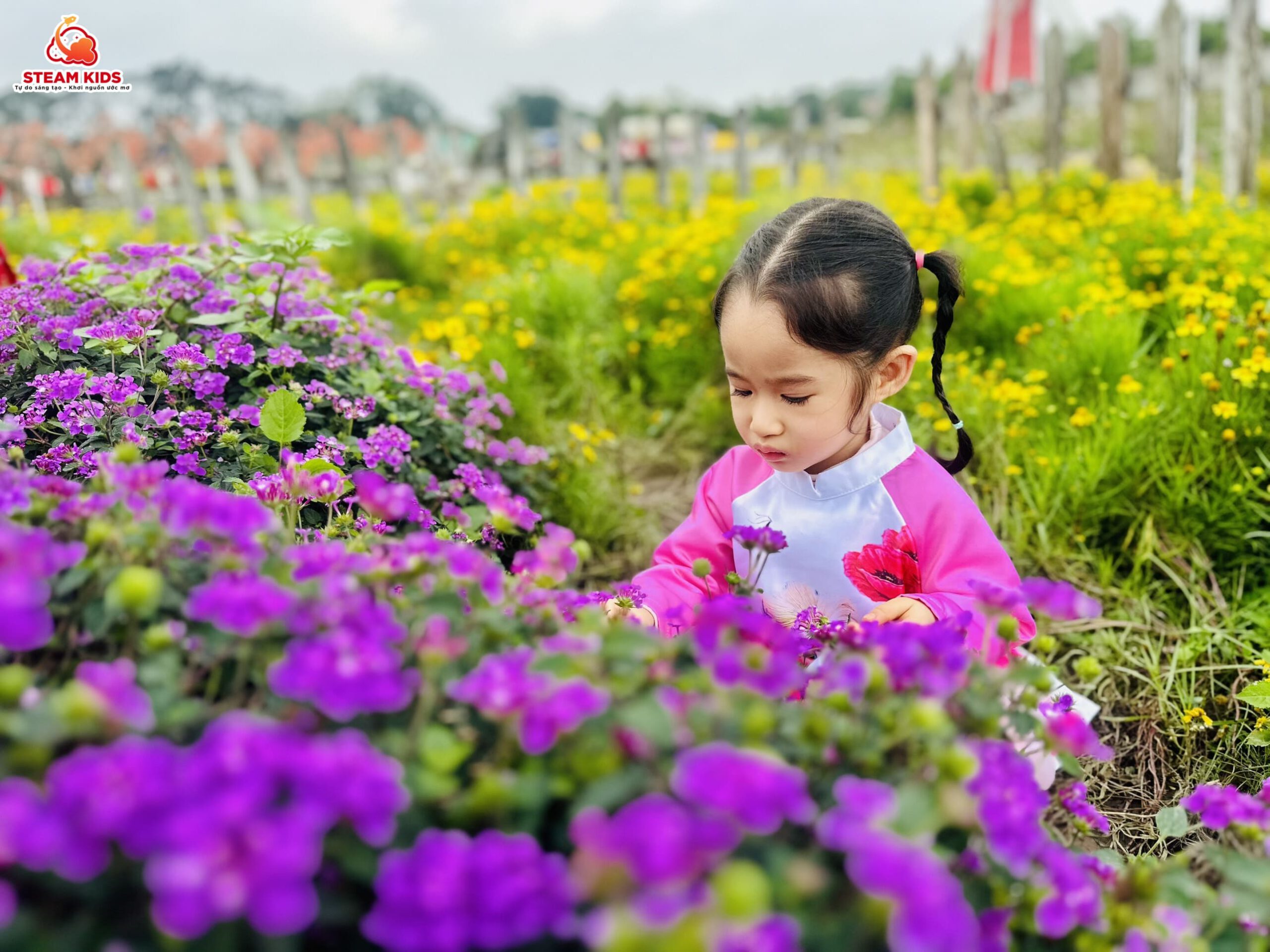 CÁC EM BÉ STEAM TỎA SÁNG BÊN THẢO NGUYÊN HOA - Trường Mầm Non STEAM KIDS