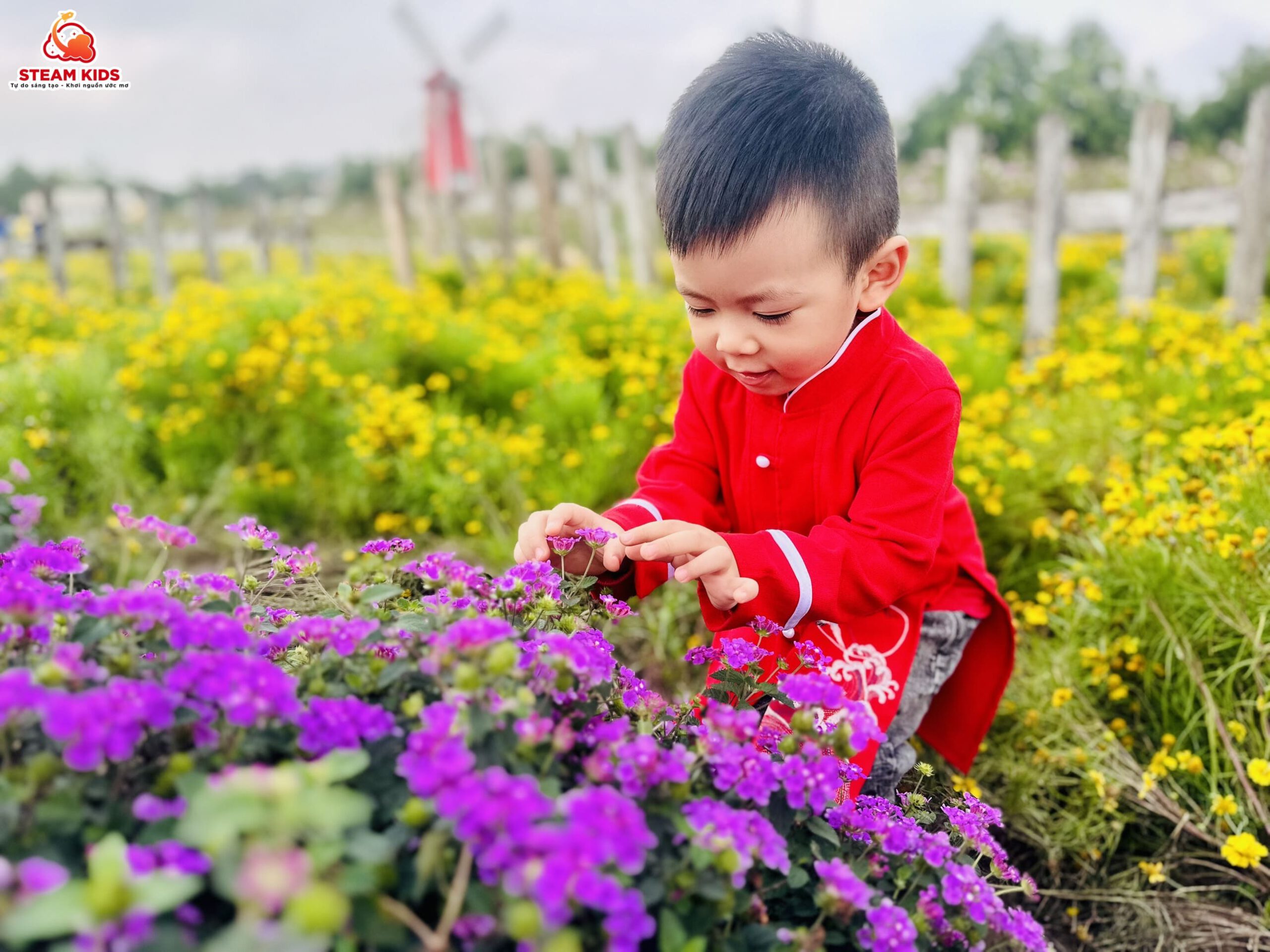 CÁC EM BÉ STEAM TỎA SÁNG BÊN THẢO NGUYÊN HOA - Trường Mầm Non STEAM KIDS