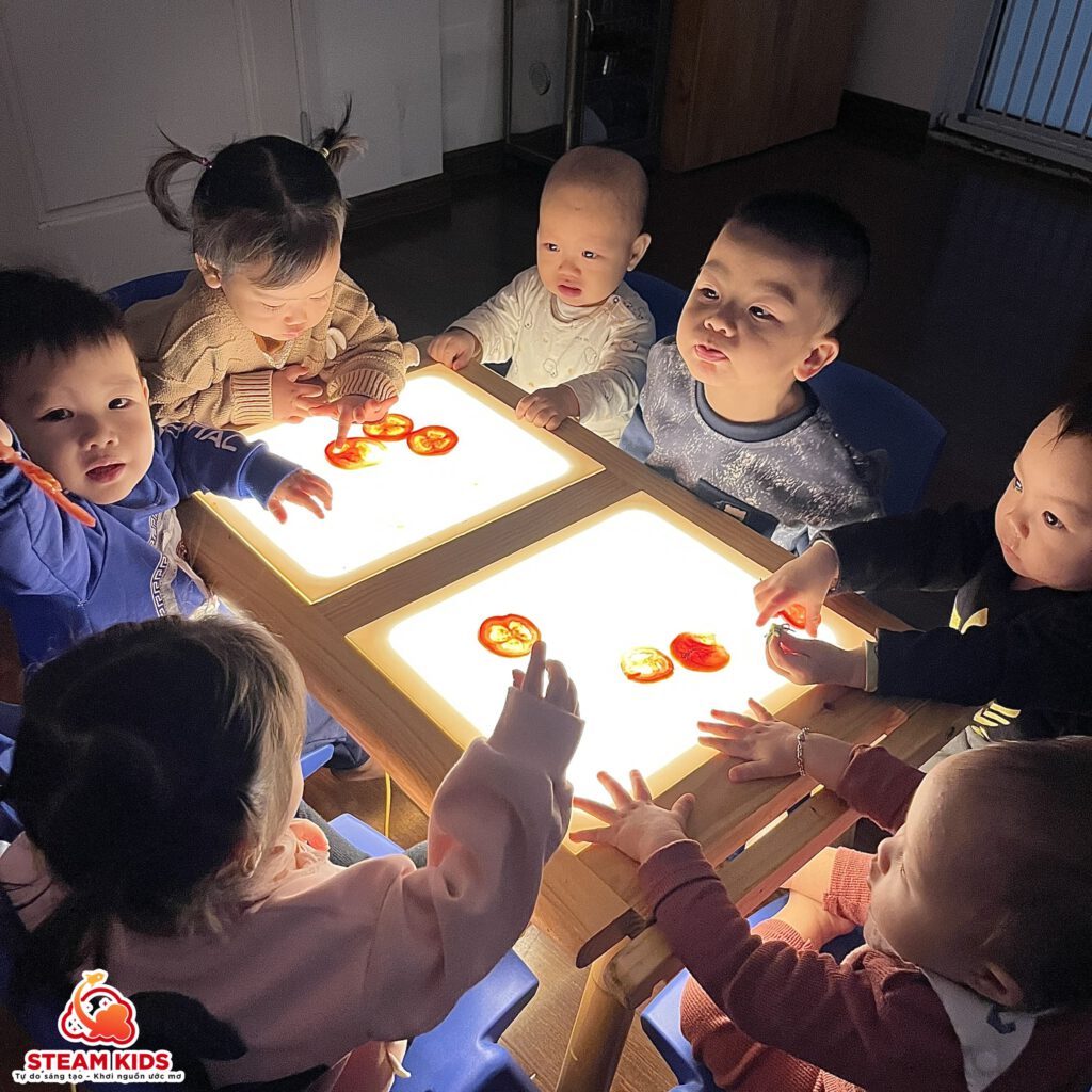 KHÁM PHÁ QUẢ CÀ CHUA TRÊN BÀN ÁNH SÁNG - Trường Mầm Non STEAM KIDS