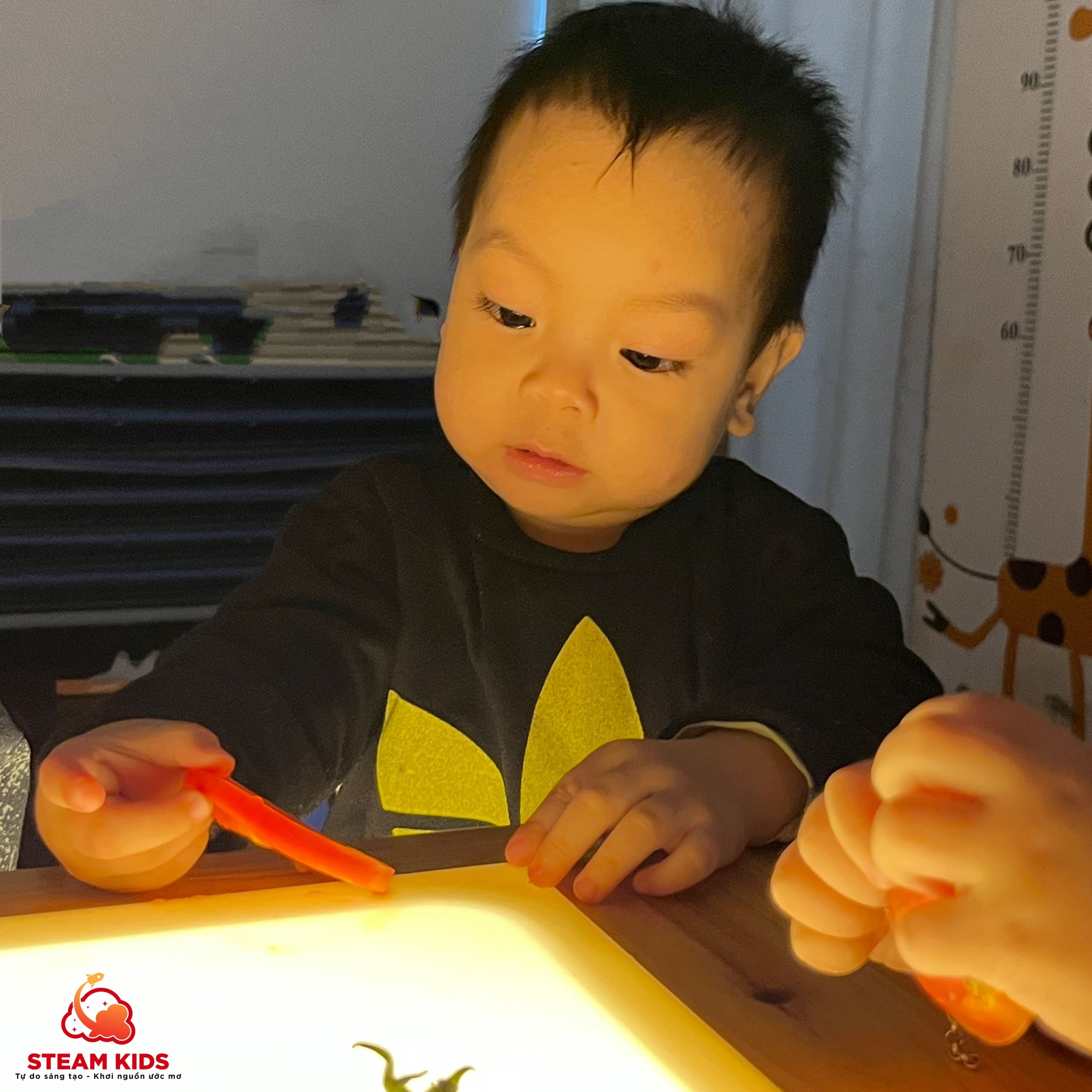 KHÁM PHÁ QUẢ CÀ CHUA TRÊN BÀN ÁNH SÁNG - Trường Mầm Non STEAM KIDS