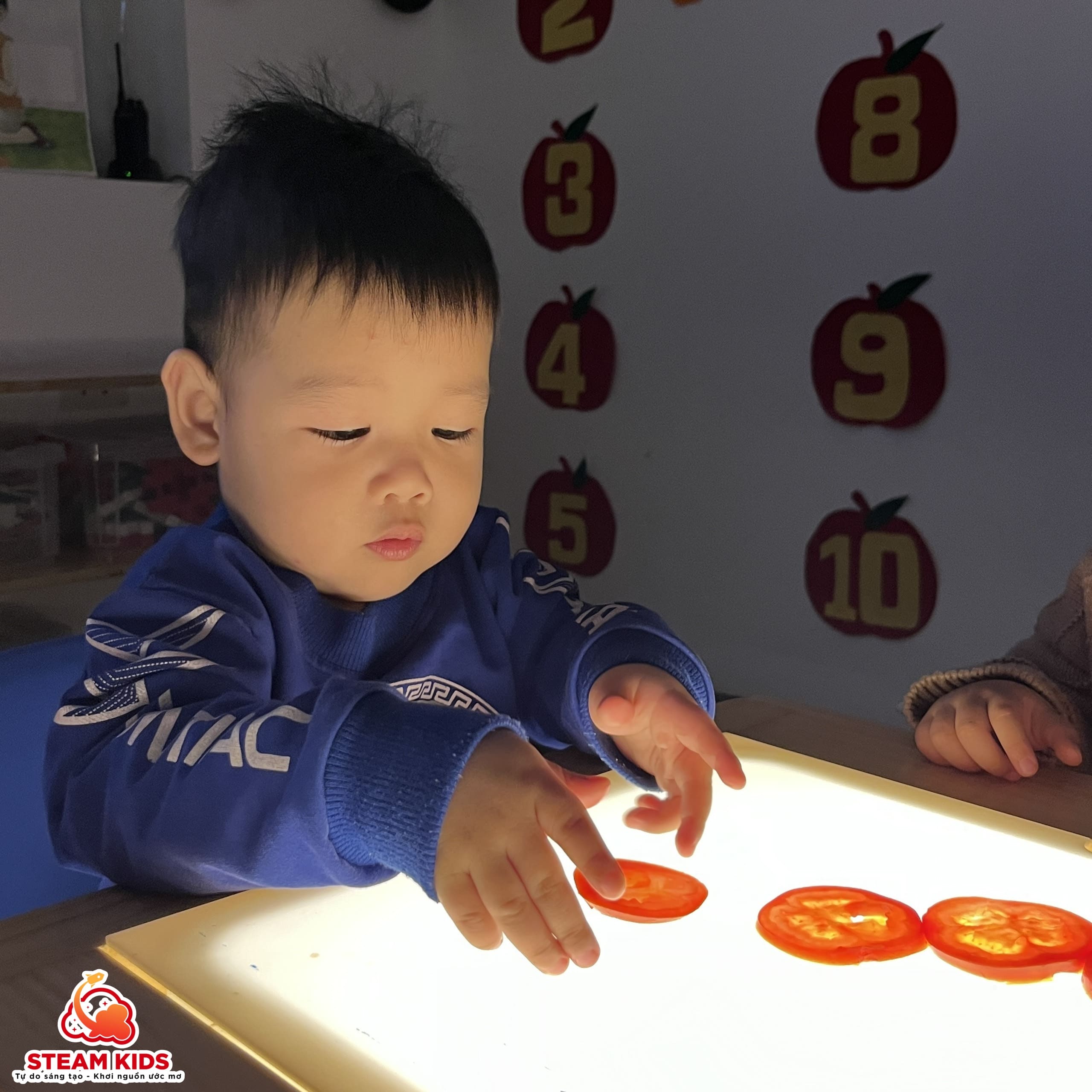 KHÁM PHÁ QUẢ CÀ CHUA TRÊN BÀN ÁNH SÁNG - Trường Mầm Non STEAM KIDS