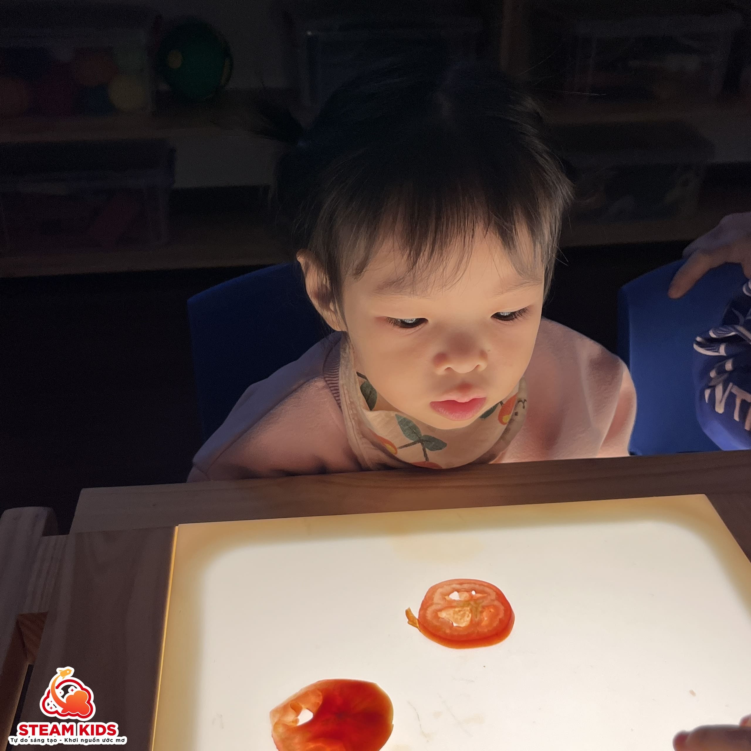 KHÁM PHÁ QUẢ CÀ CHUA TRÊN BÀN ÁNH SÁNG - Trường Mầm Non STEAM KIDS