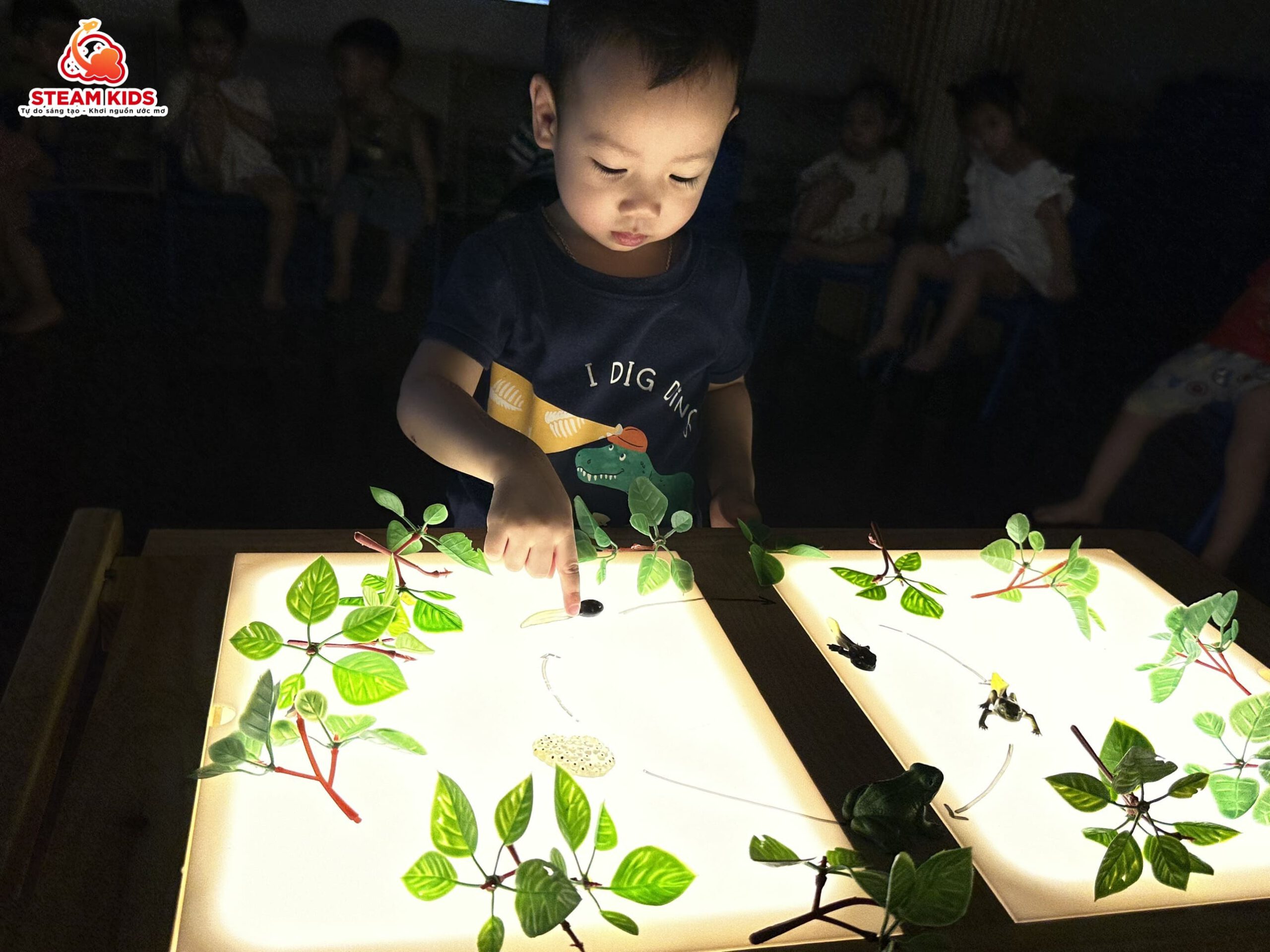 KHÁM PHÁ KHOA HỌC: VÒNG ĐỜI CỦA ẾCH - Trường Mầm Non STEAM KIDS