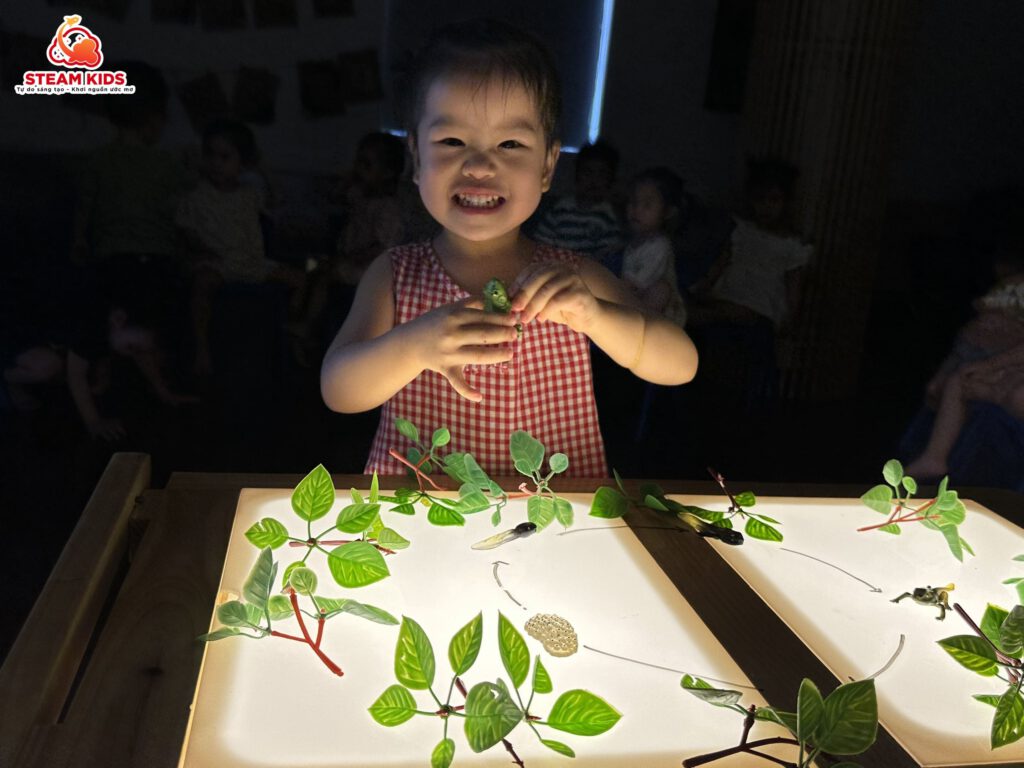 KHÁM PHÁ KHOA HỌC: VÒNG ĐỜI CỦA ẾCH - Trường Mầm Non STEAM KIDS