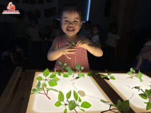 KHÁM PHÁ KHOA HỌC: VÒNG ĐỜI CỦA ẾCH - Trường Mầm Non STEAM KIDS