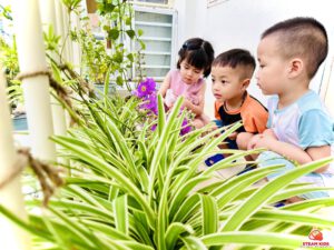 GÓC NHỎ YÊU THƯƠNG - EM YÊU THIÊN NHIÊN - Trường Mầm Non STEAM KIDS
