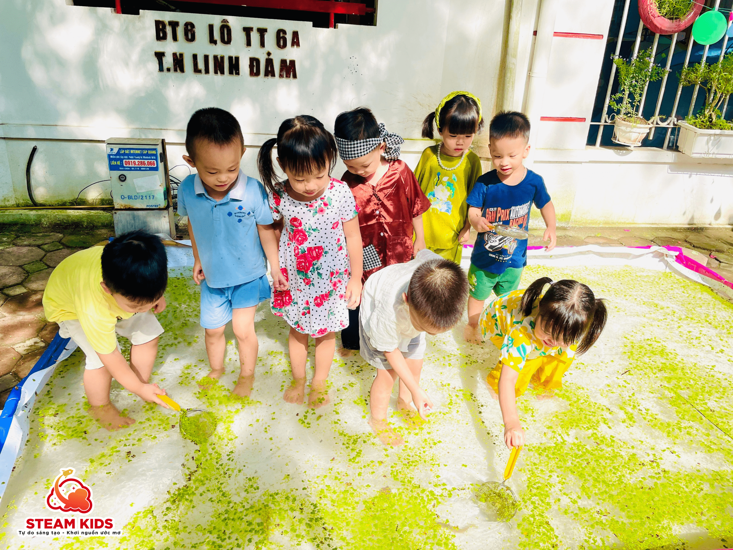 TRẠI HÈ STEAM KIDS 2024 - Trường Mầm Non STEAM KIDS